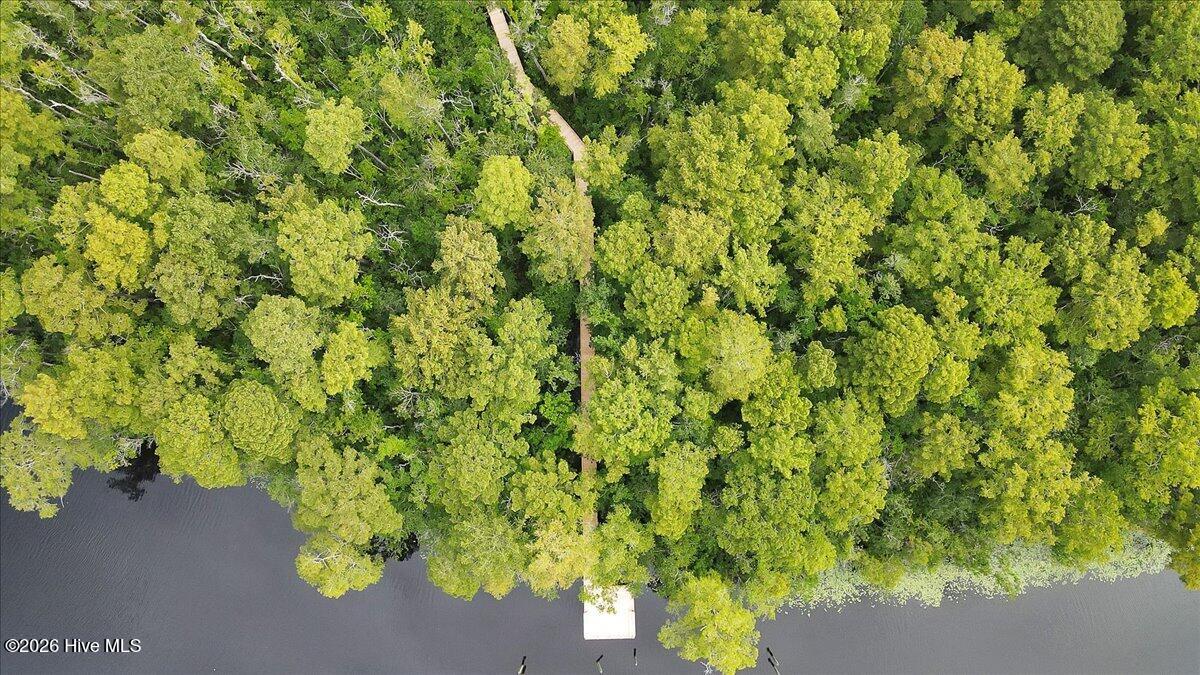 100553155 | Photo 64