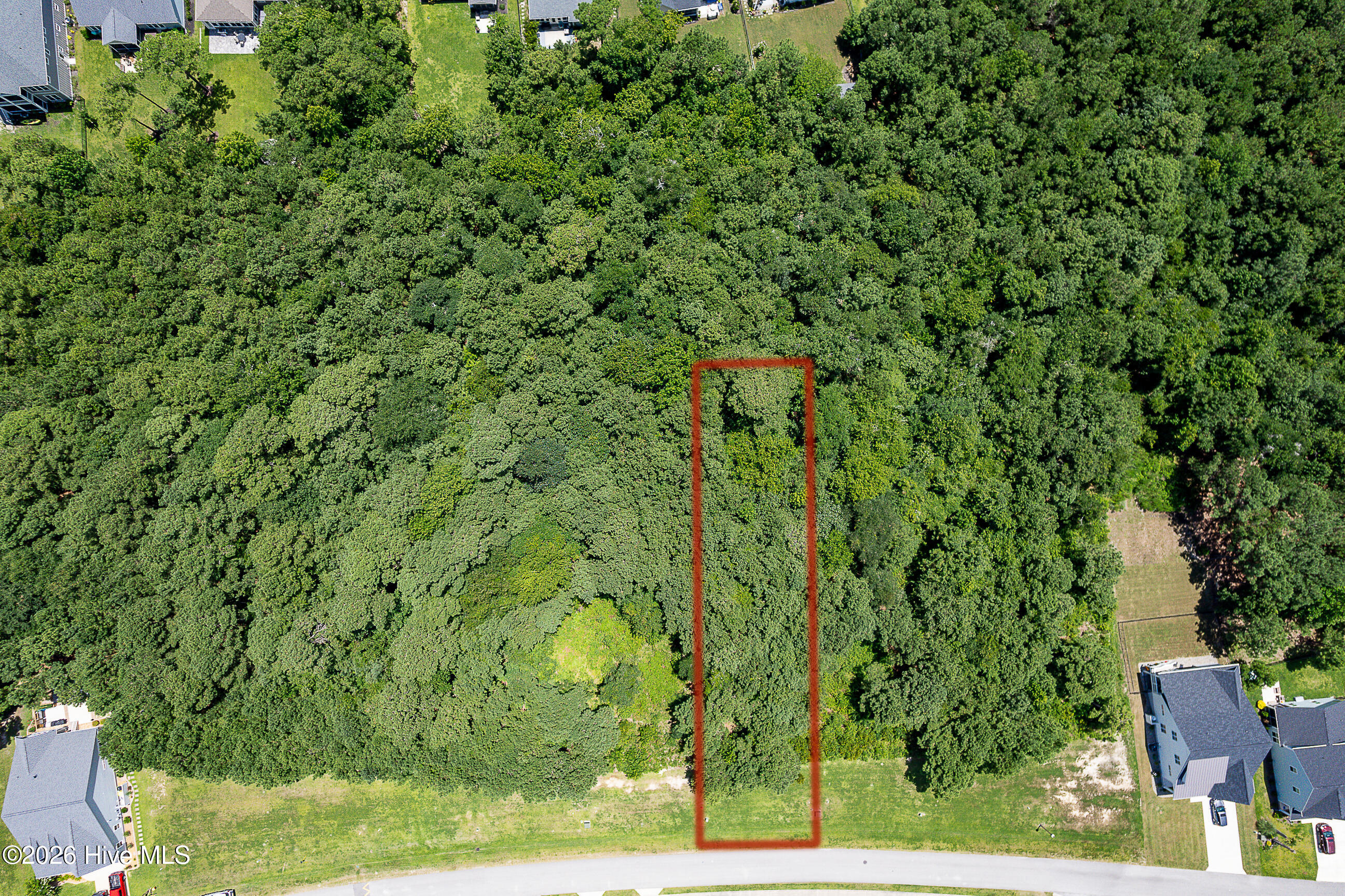 100560313 | Photo 10