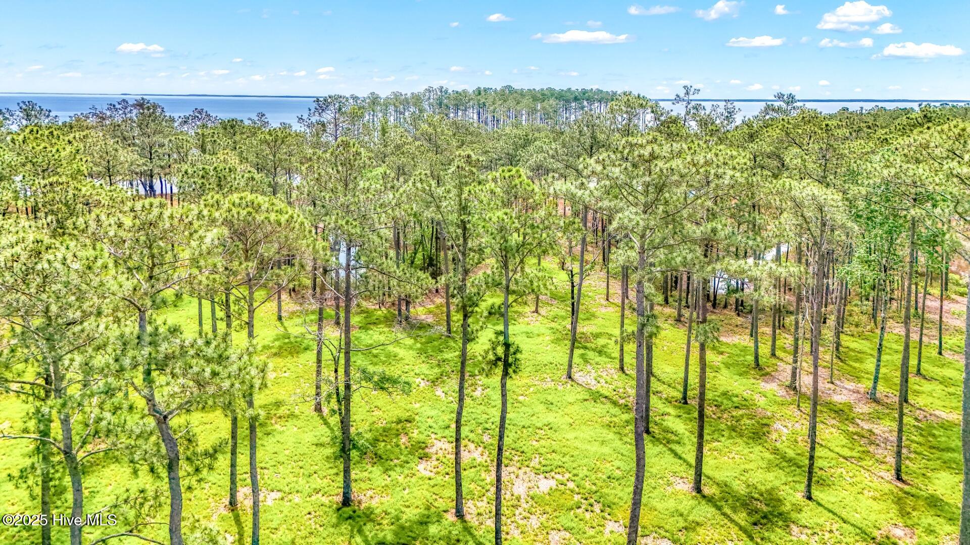 175 River Watch Road, Oriental, NC, 28571