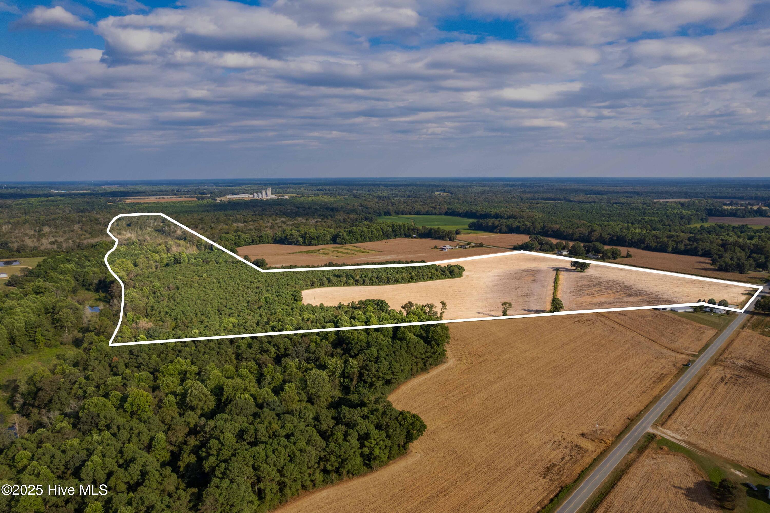 Homes for sale in Clinton, NC | 0 Moltonville Rd, Clinton, NC 28328 | MLS# 100528117