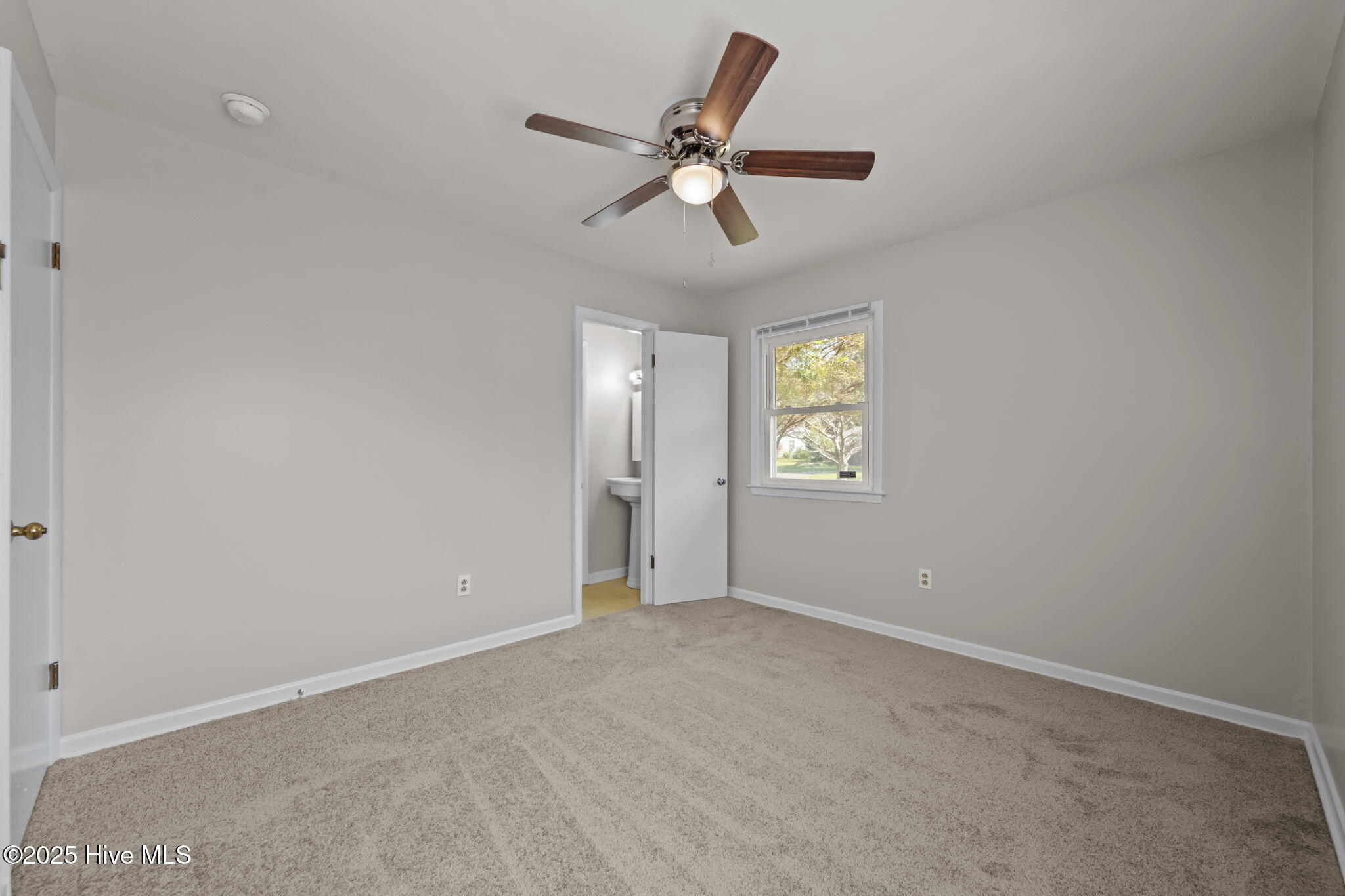 100535333 | Photo 25