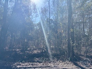 138-140 Dogwood Lane, Midway, GA, 31320