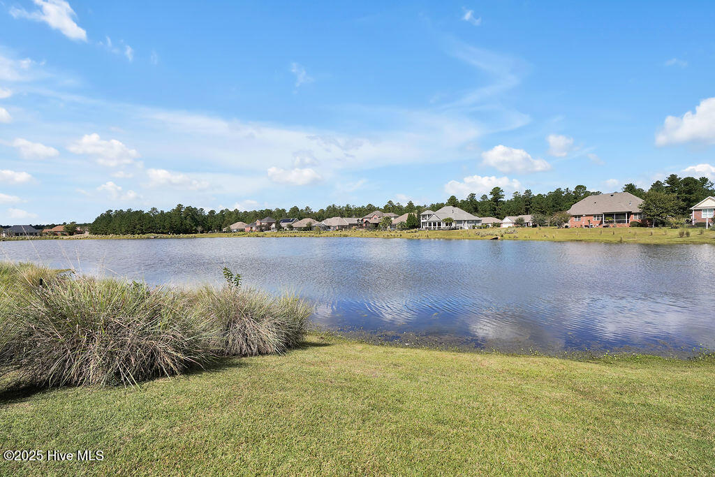 100534763 | Photo 53