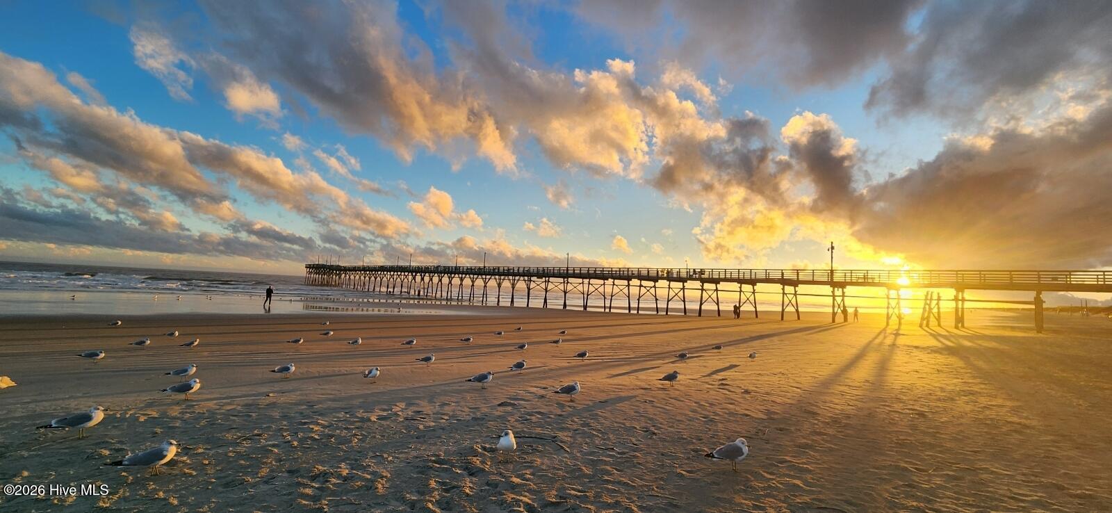 100566153 | Photo 58