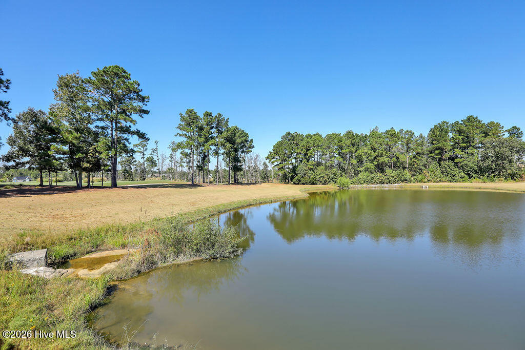 100555055 | Photo 78