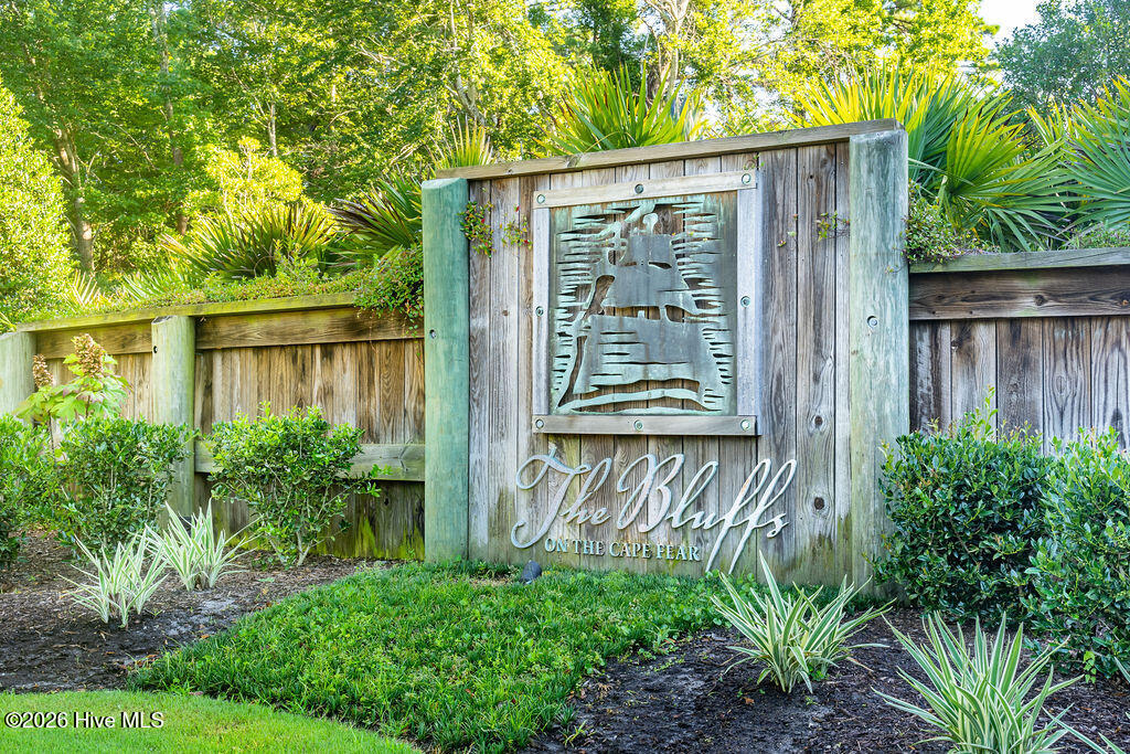 100558848 | Photo 44