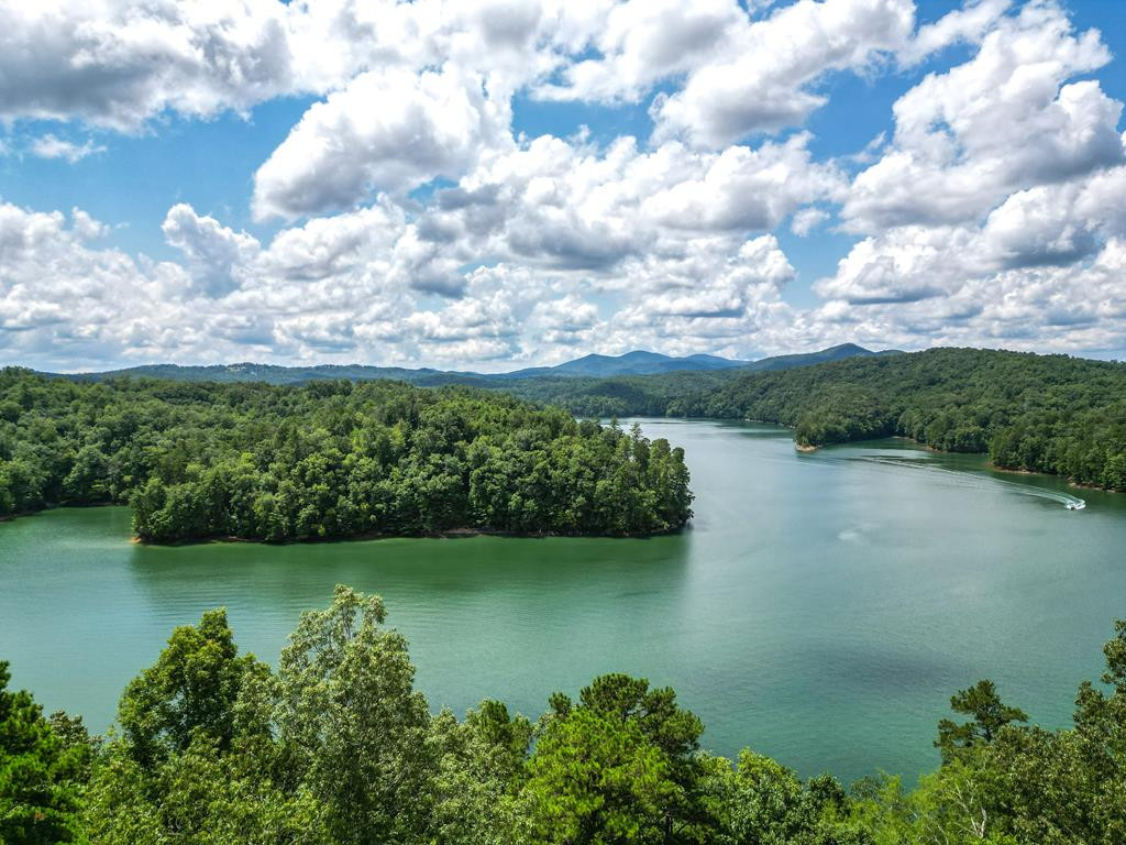 78 Hawk Nest Place, Murphy, NC 28906 Listing Photo  69