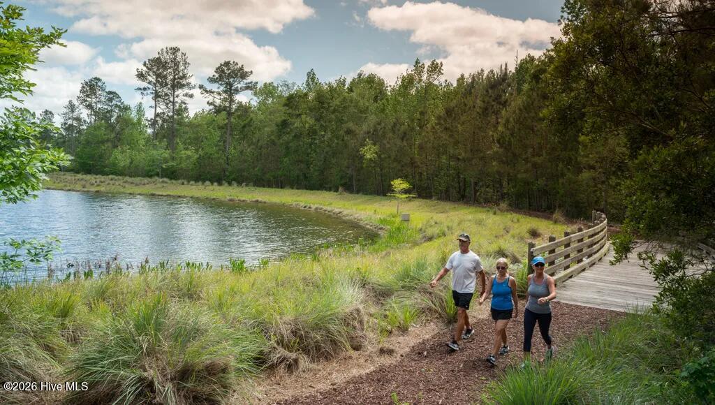 100564322 | Photo 11