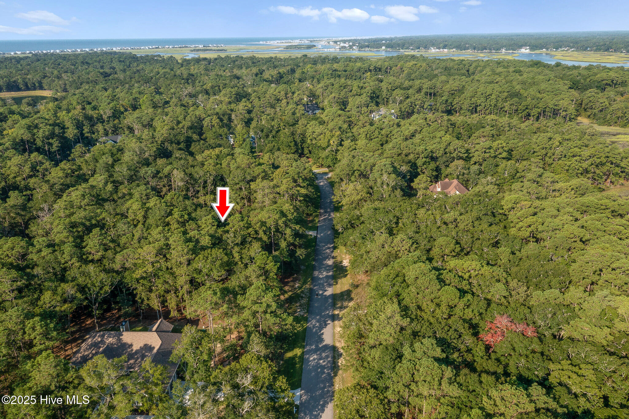 100526036 | Photo 16