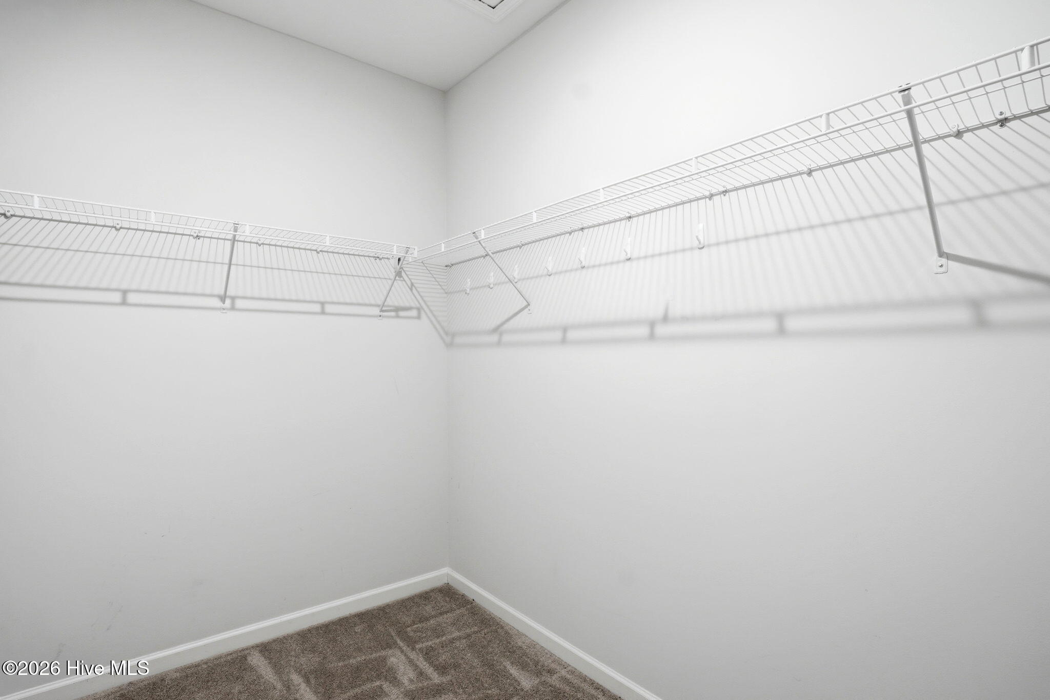 100558607 | Photo 21