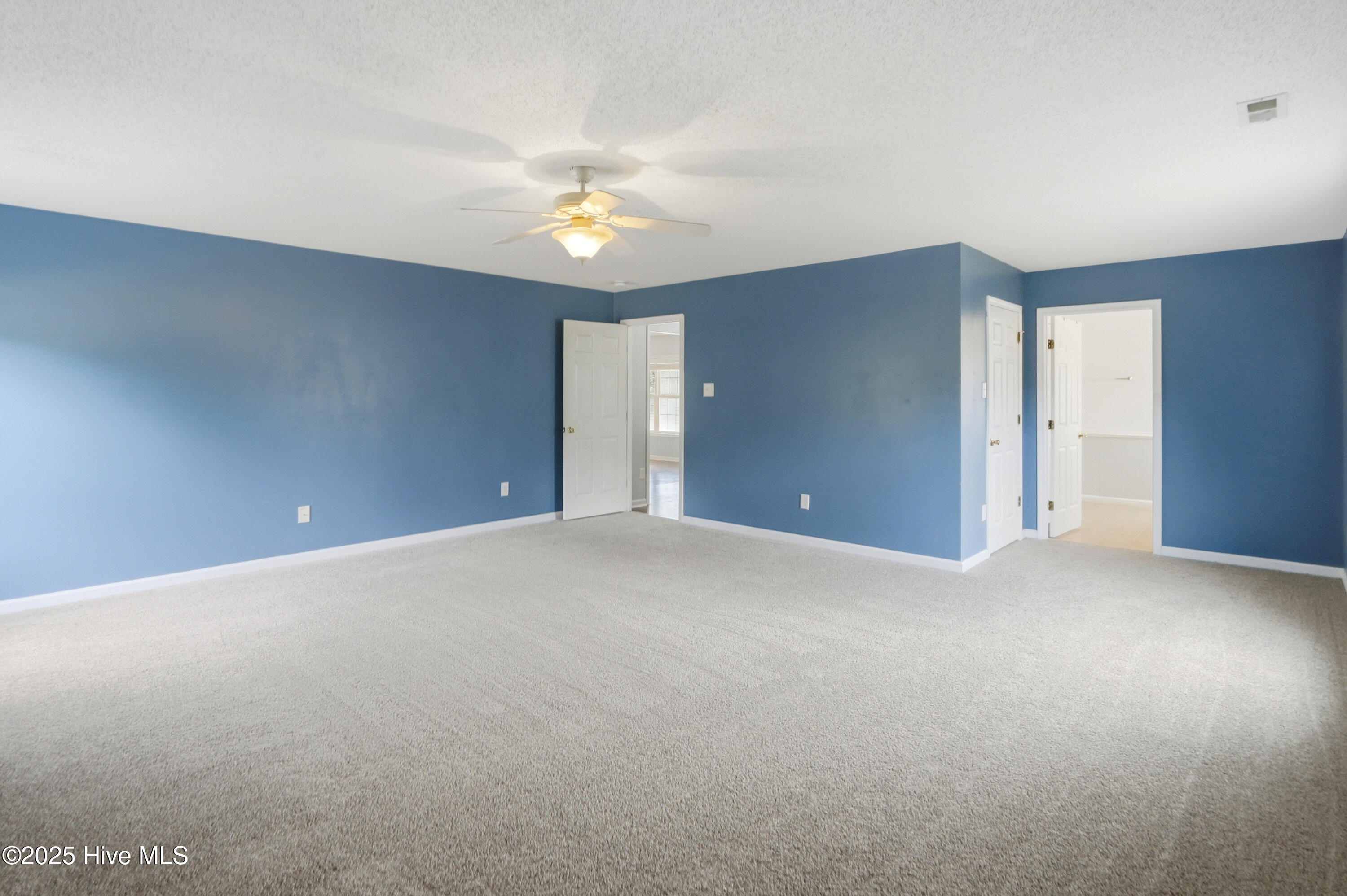 100531186 | Photo 20