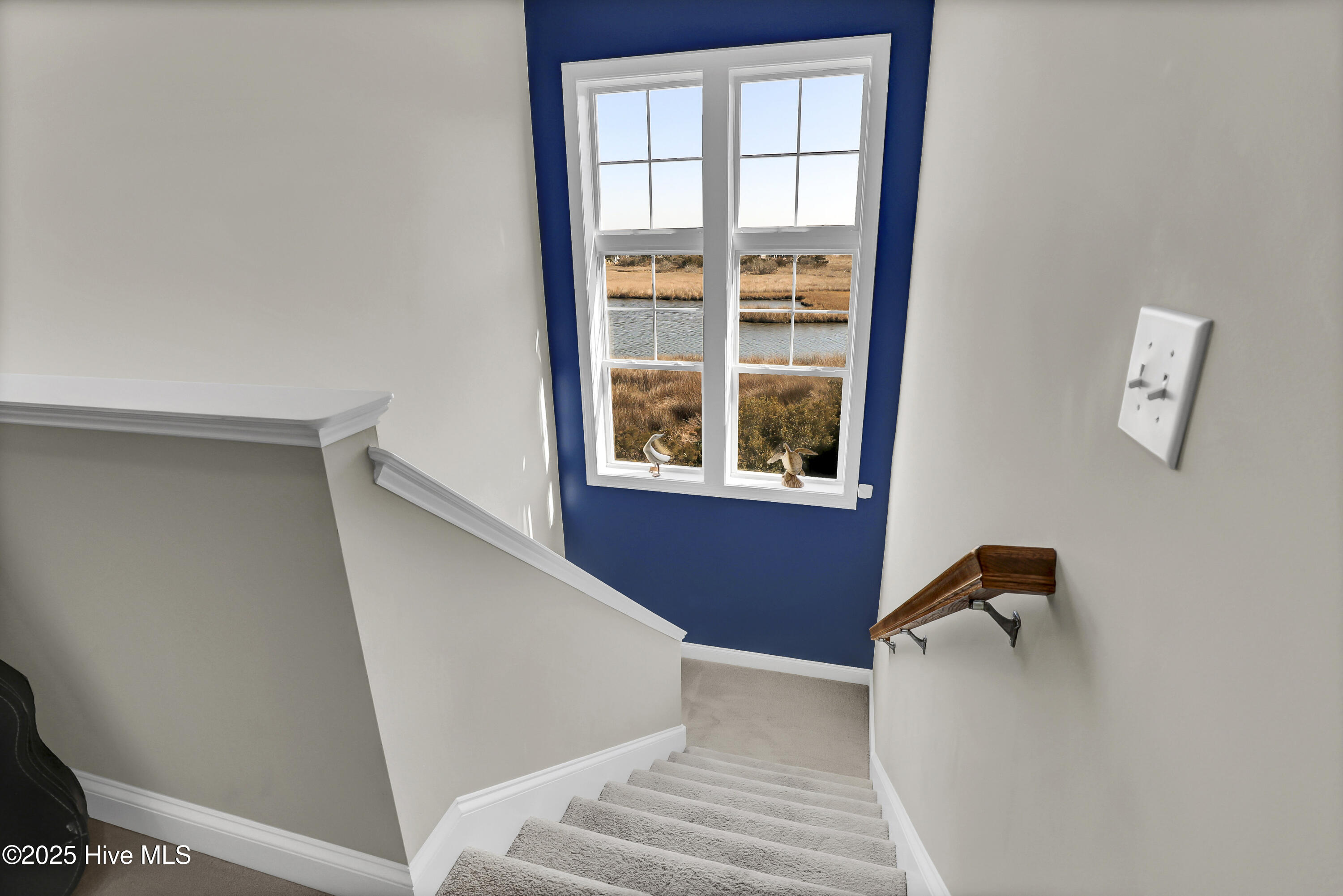 100529954 | Photo 24