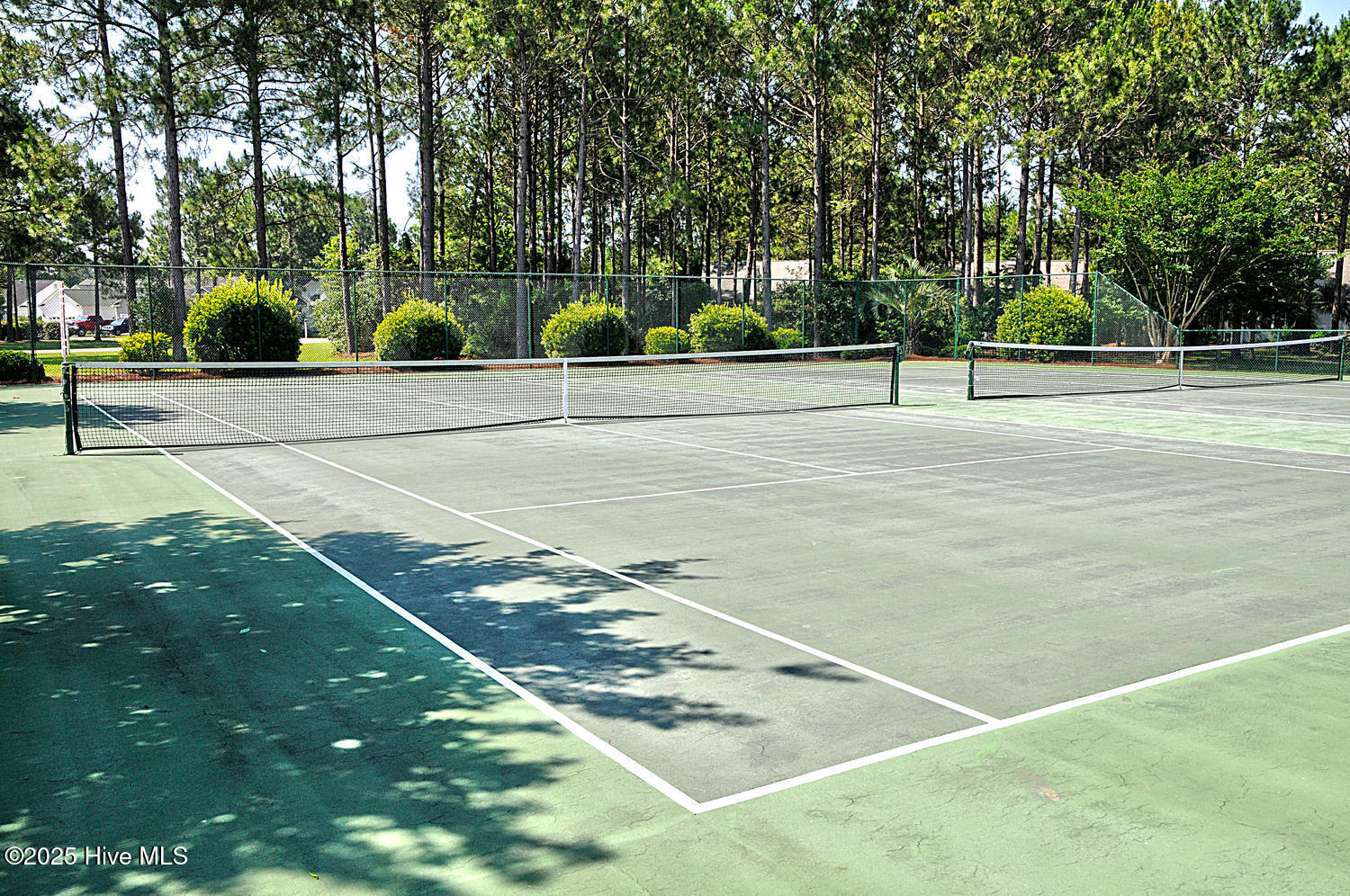 100537536 | Photo 64