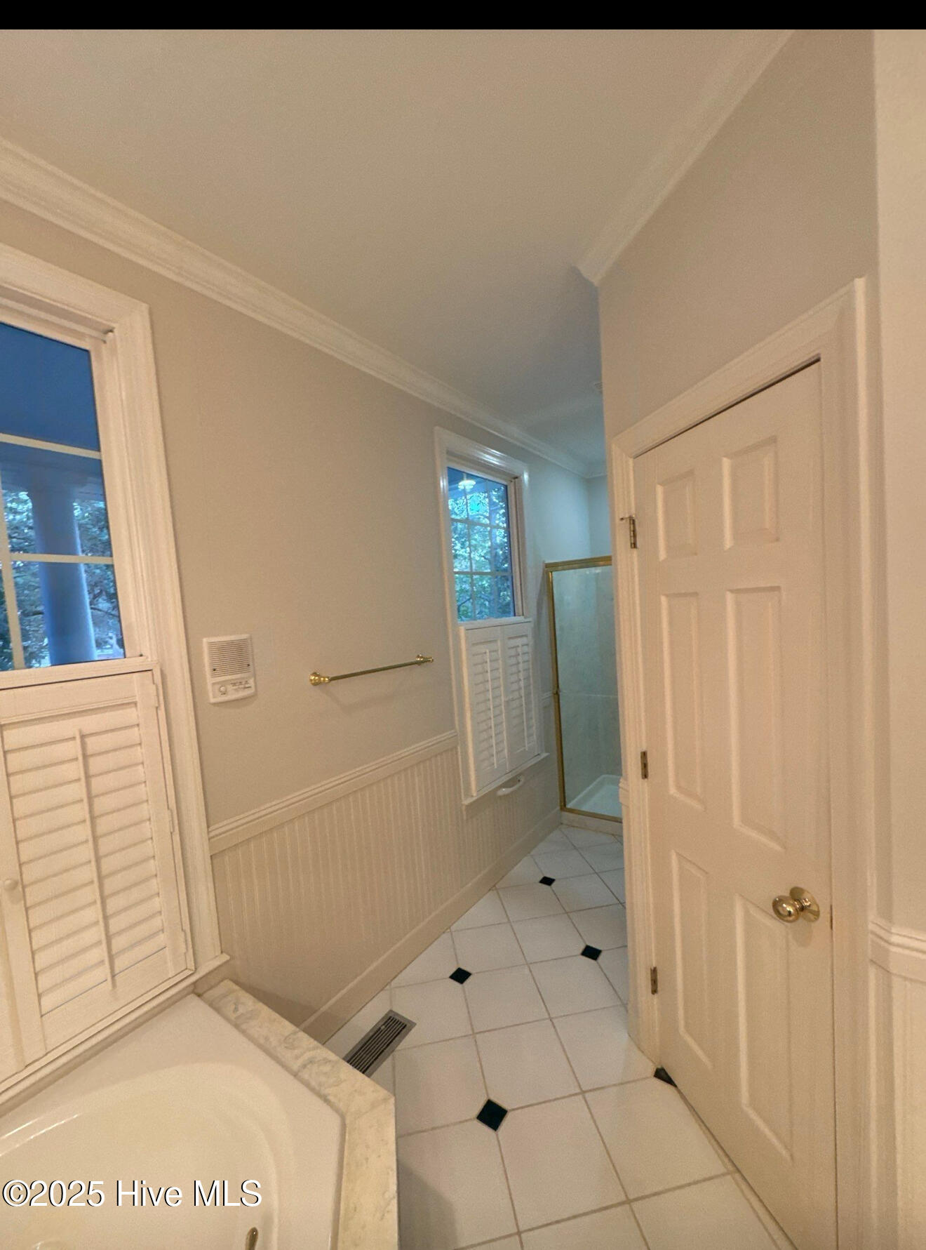 100536215 | Photo 51