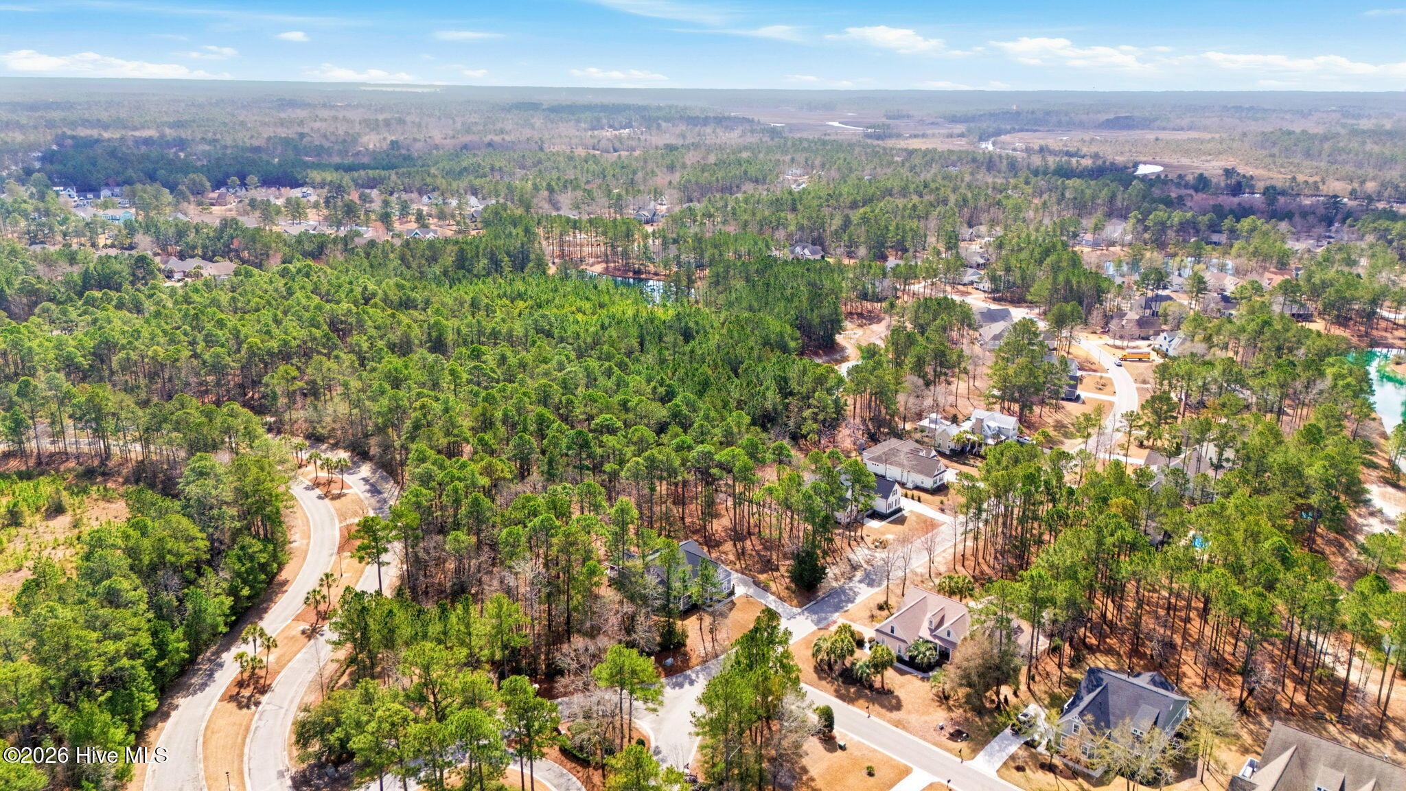 100558607 | Photo 55