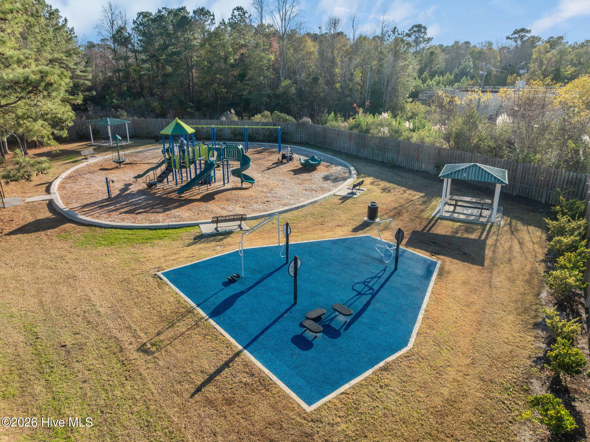 100561197 | Photo 66