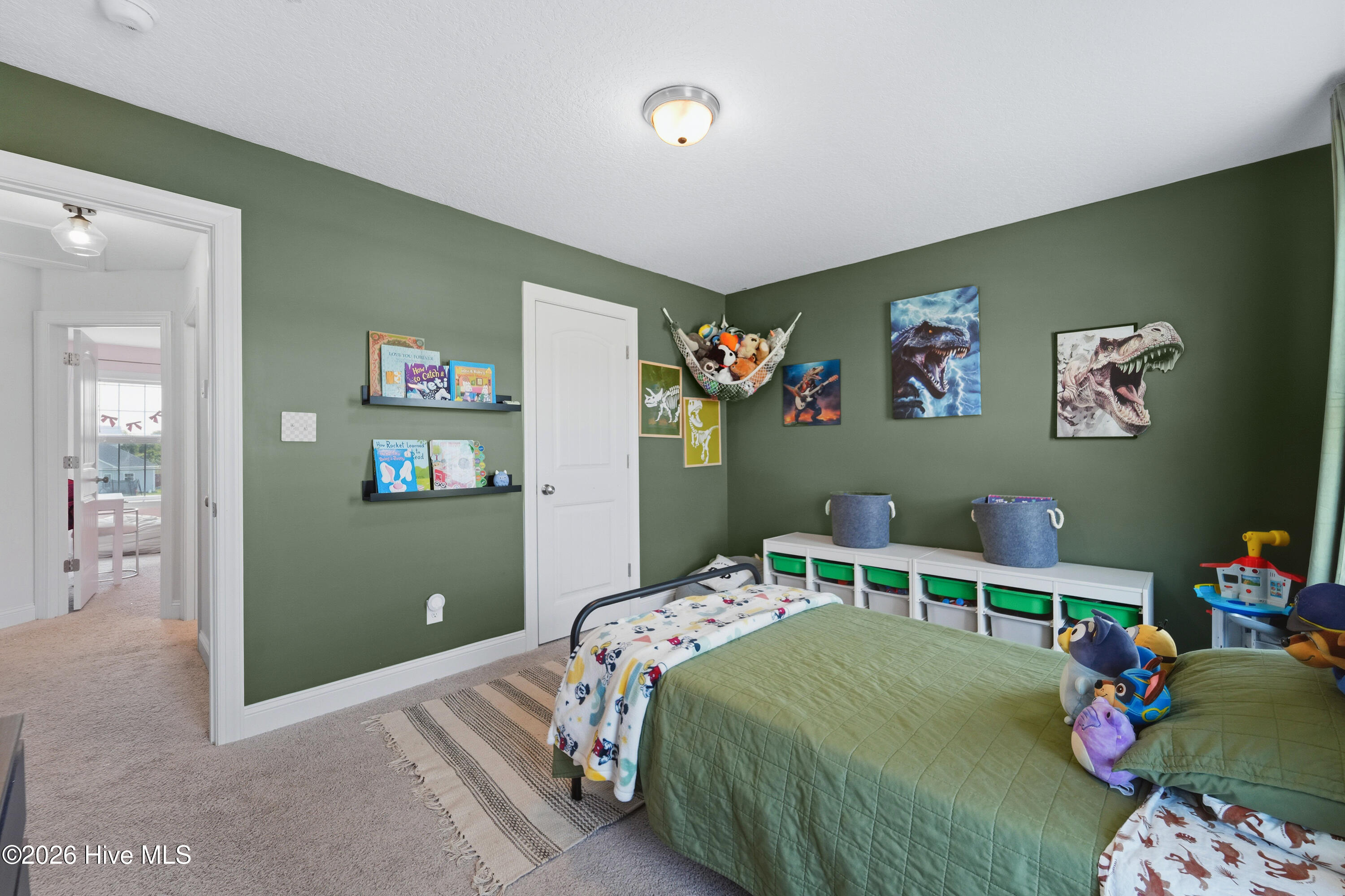706 Puppy Drum Lane,Maysville