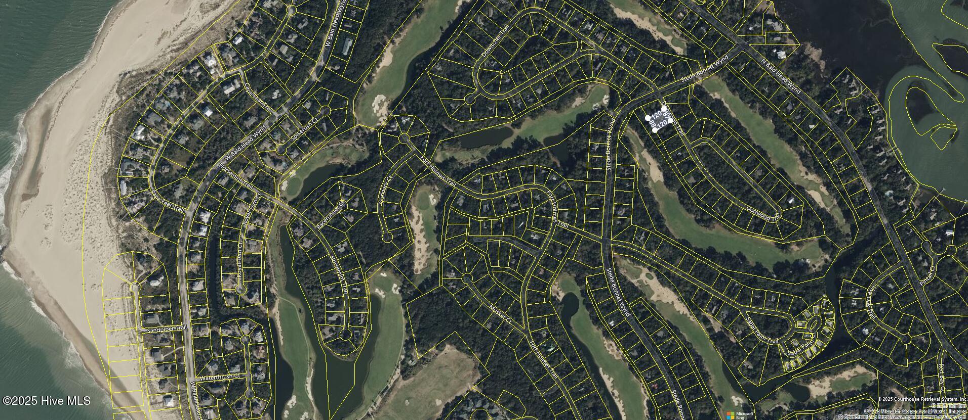 100527849 | Photo 33