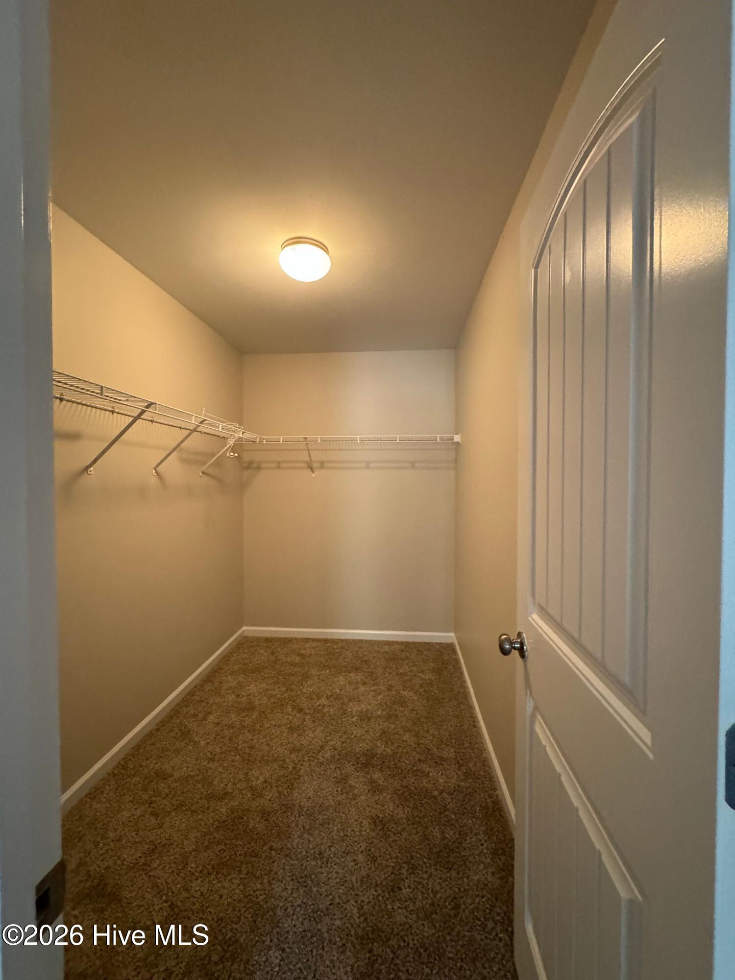 100549154 | Photo 23