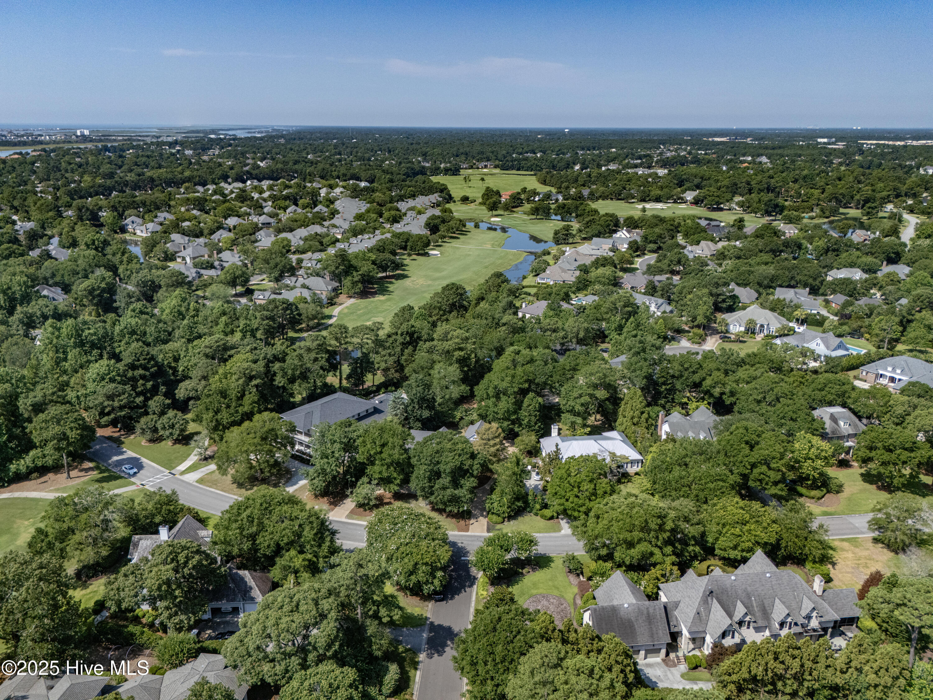 100565717 | Photo 58