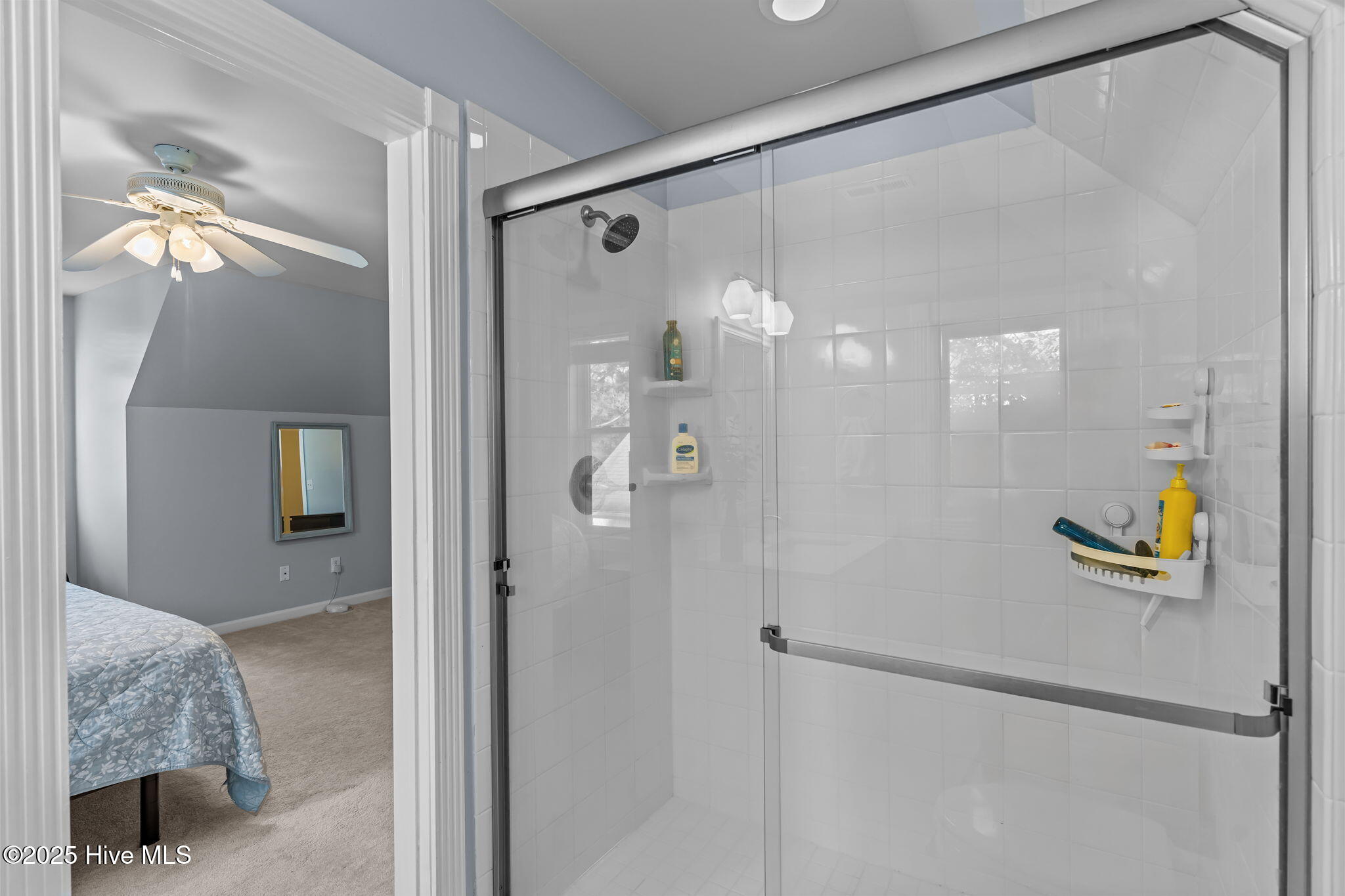 100539948 | Photo 24