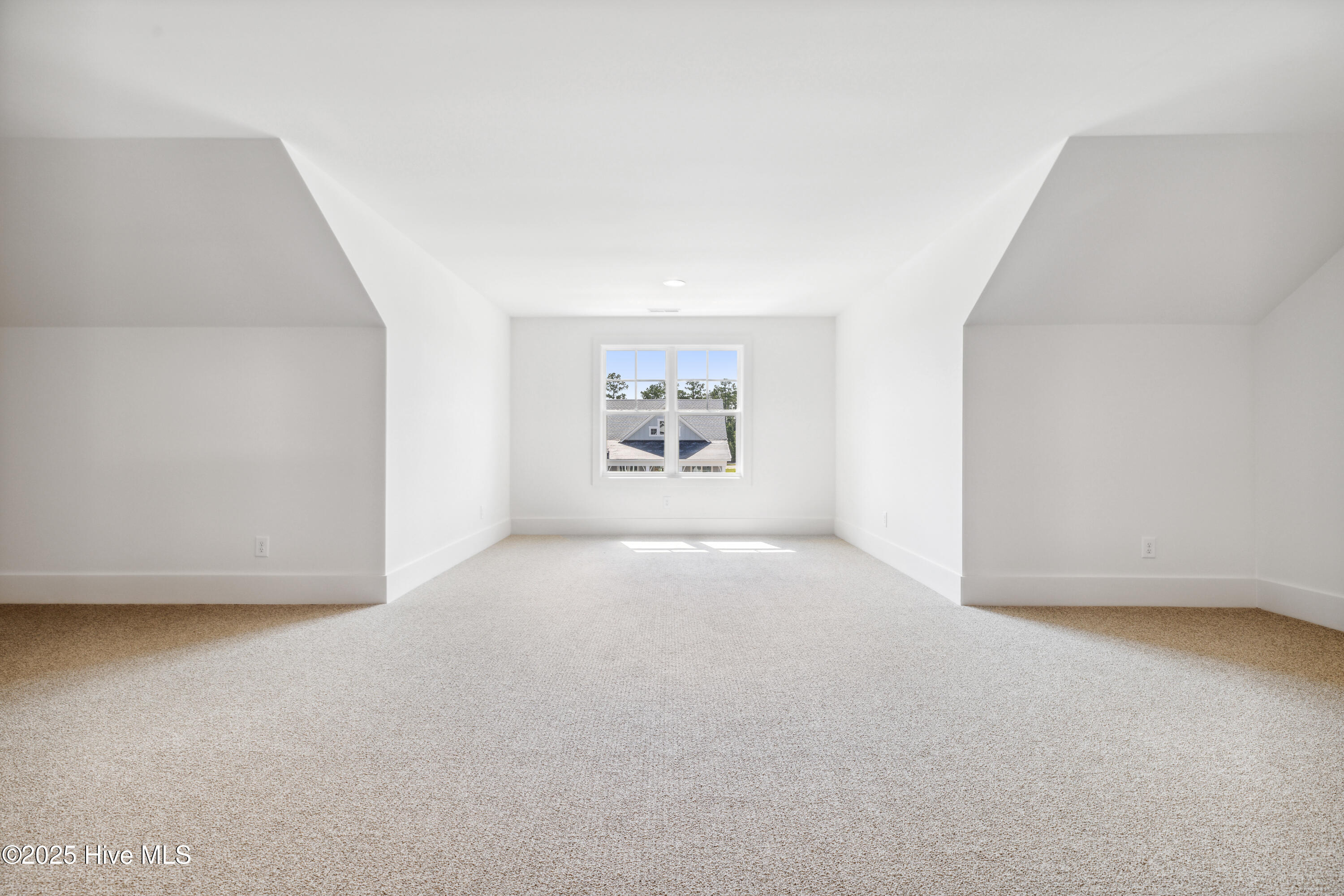 100523457 | Photo 61