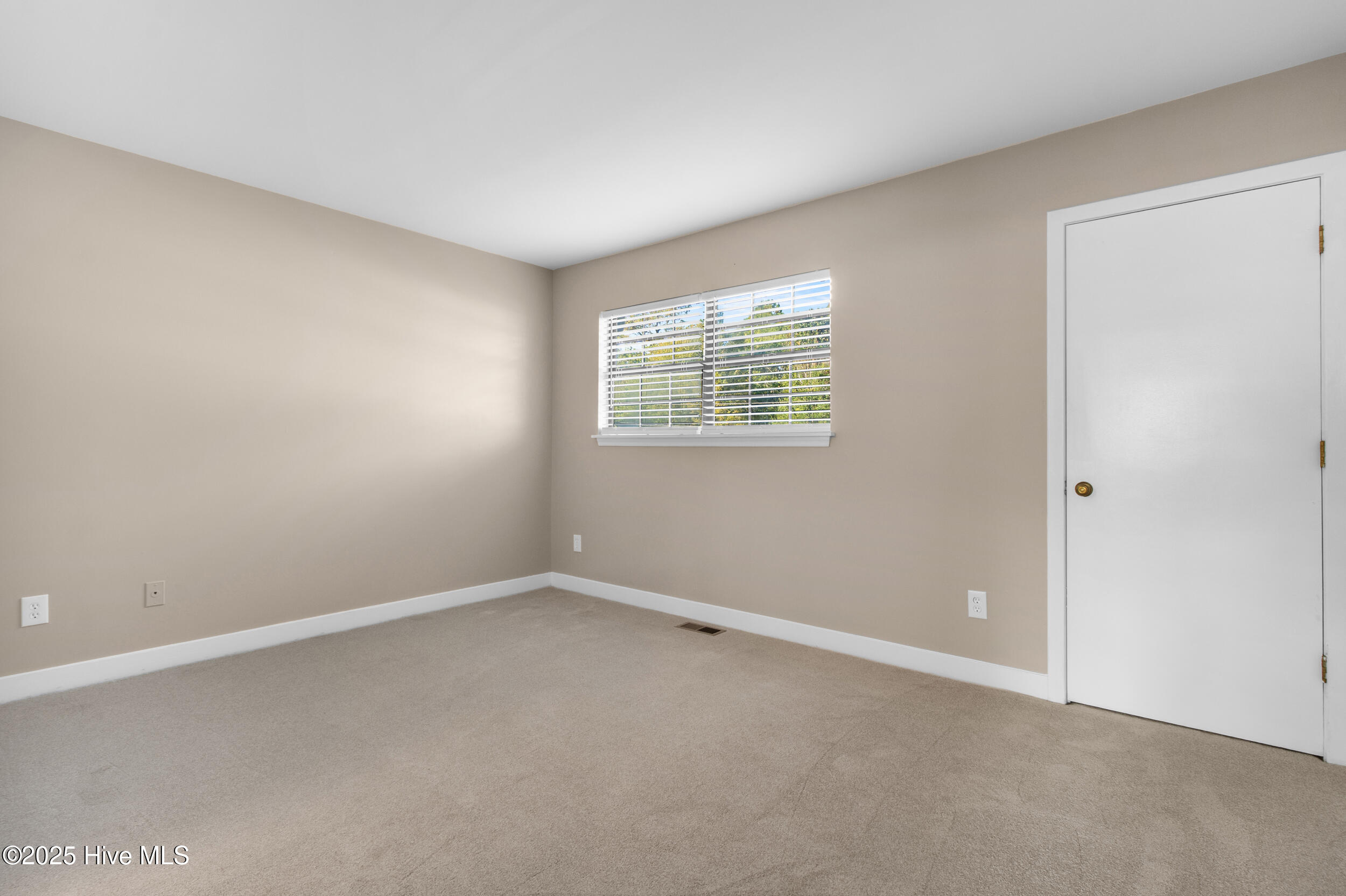 100540699 | Photo 30