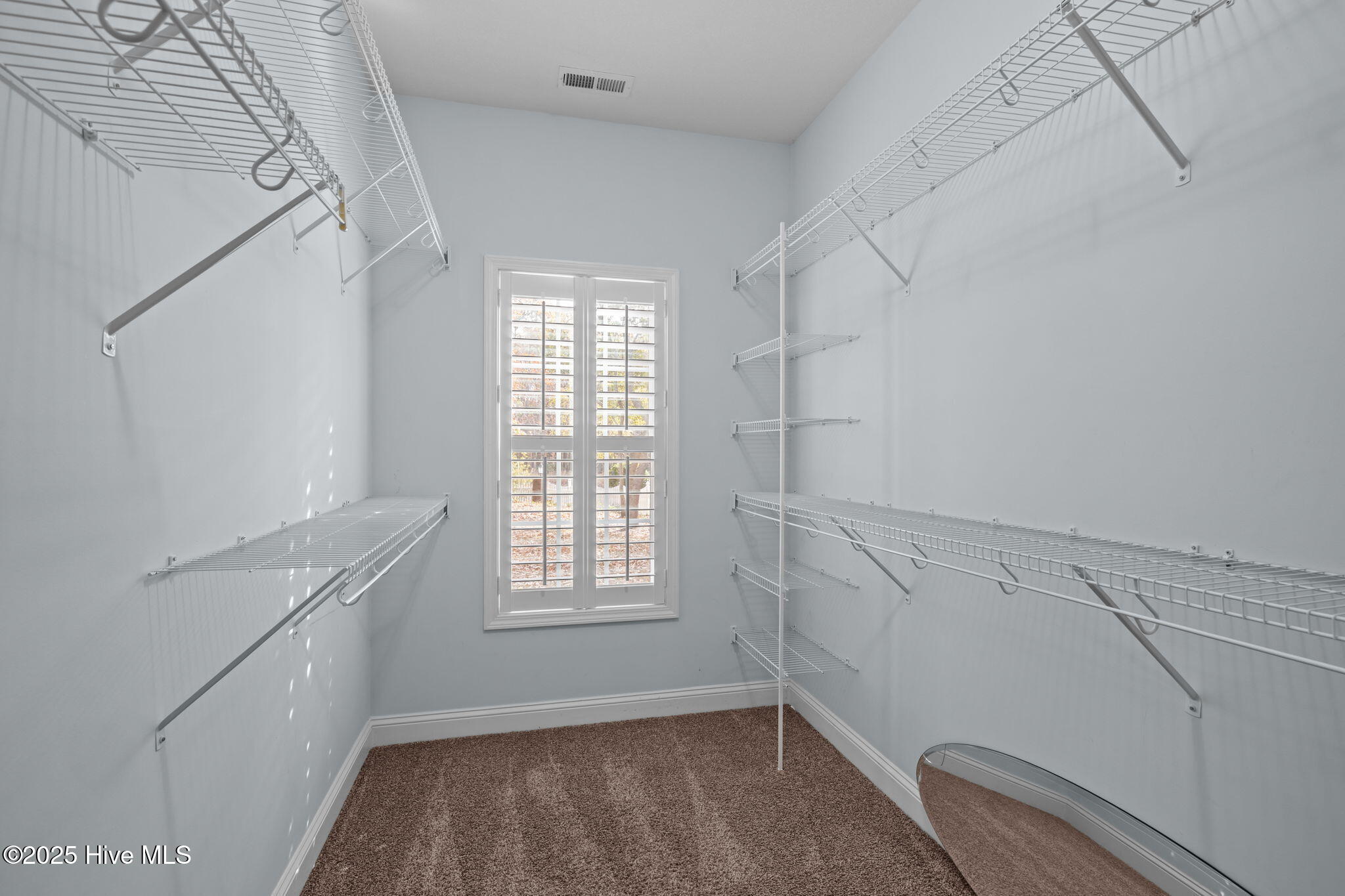 100544125 | Photo 28