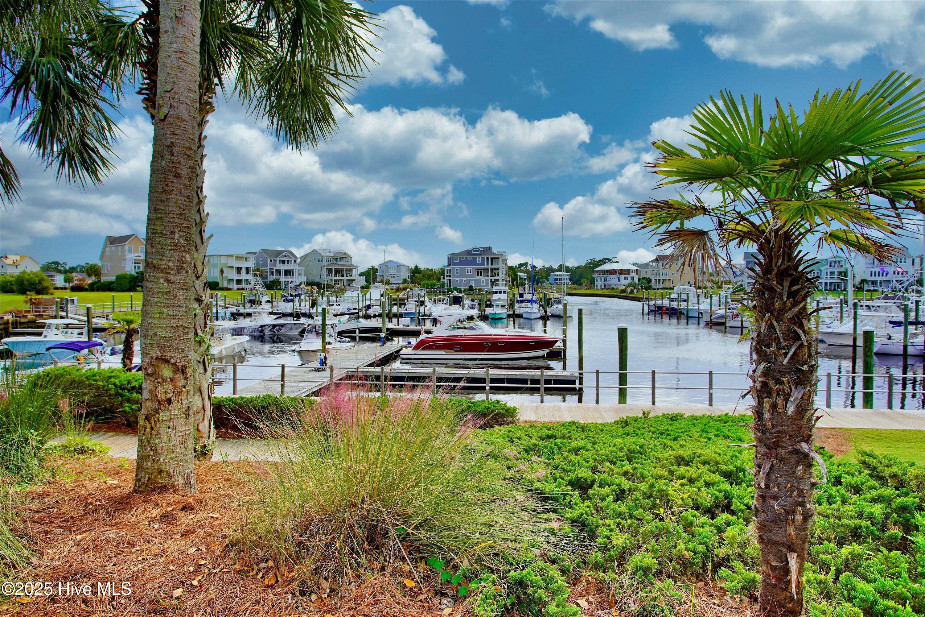 100553143 | Photo 47