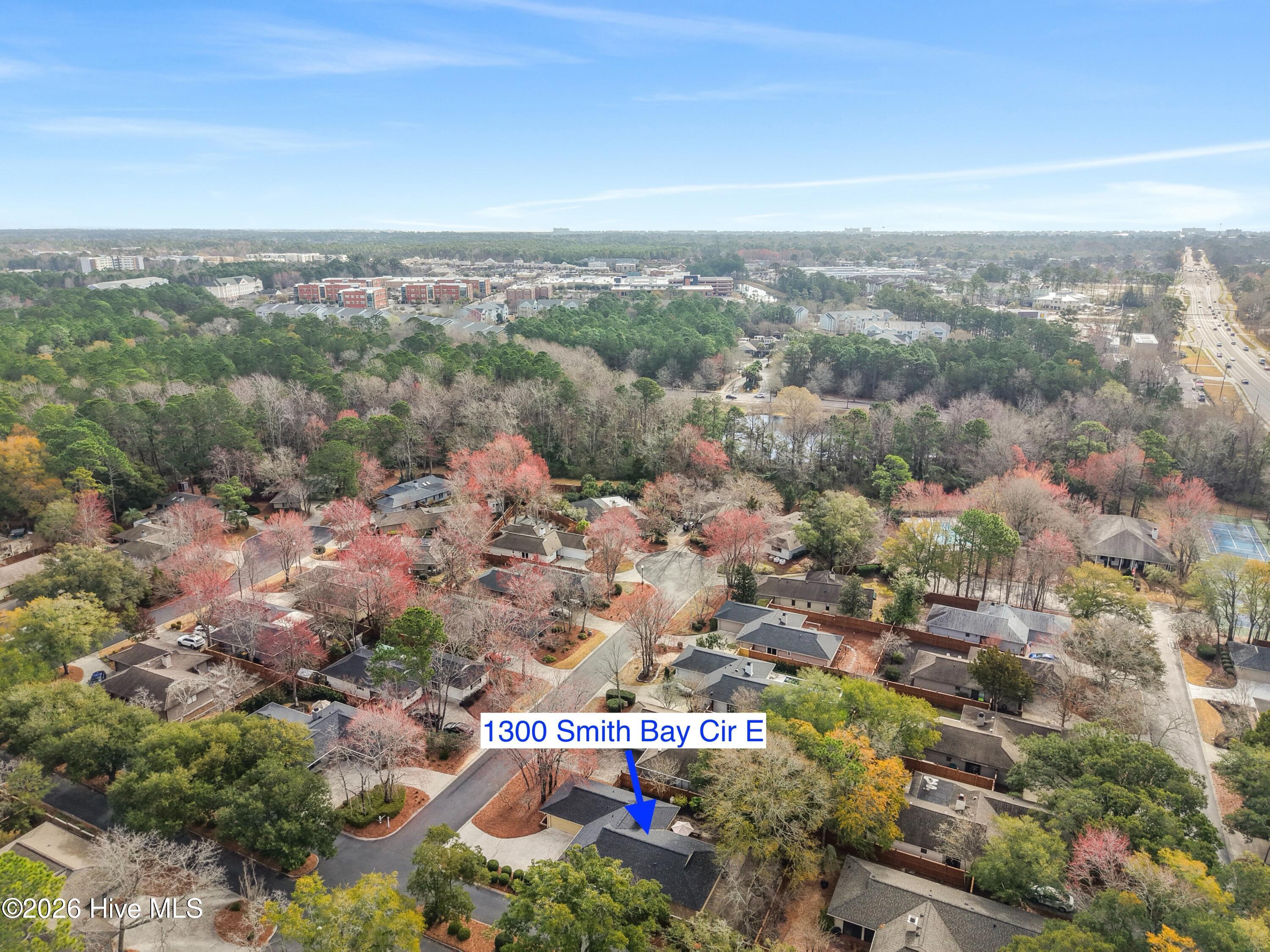 100558002 | Photo 41