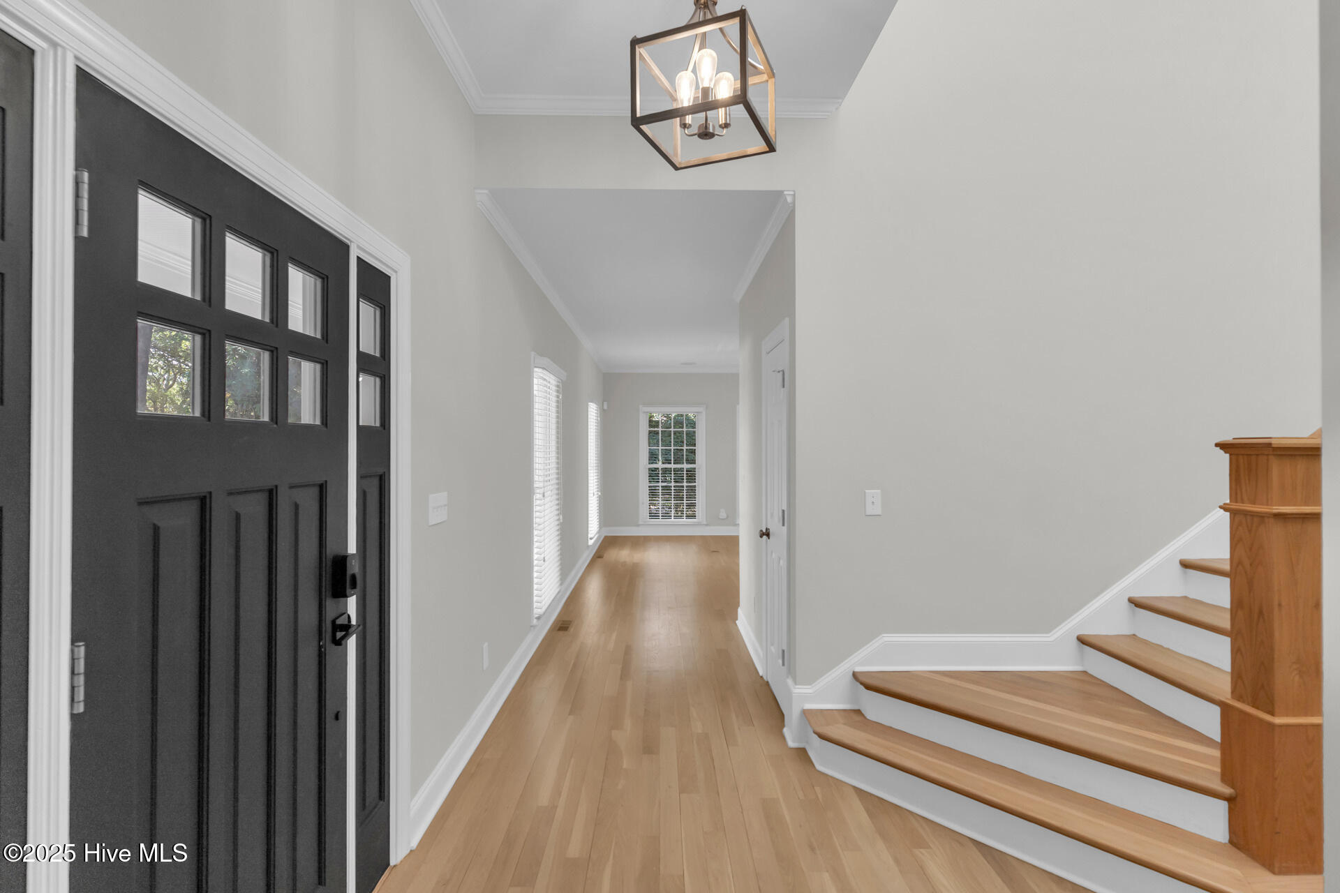 100532167 | Photo 10