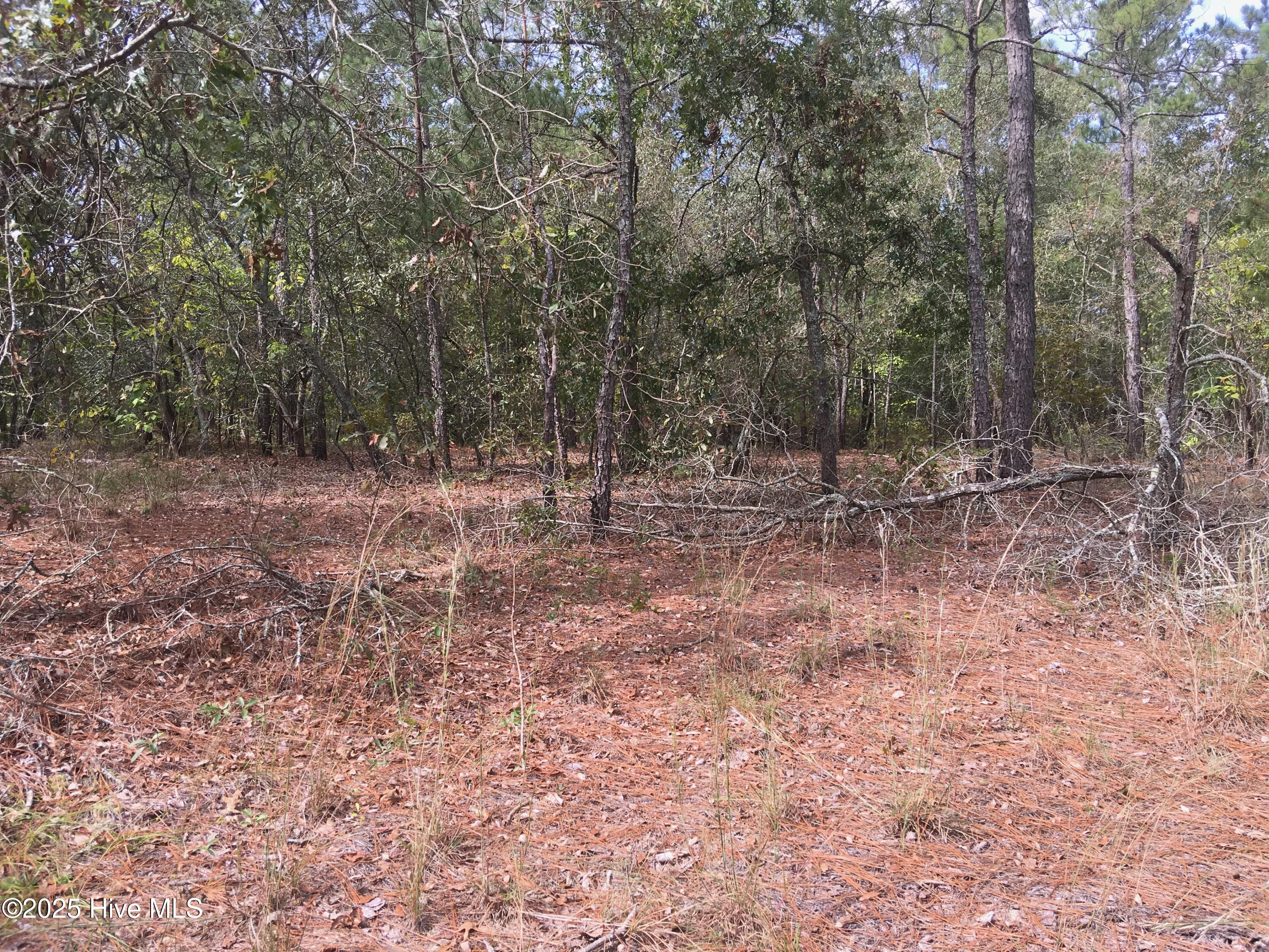 Homes for sale in Robbins, NC | Tbd Plank Rd, Robbins, NC 27325 | MLS# 100505544