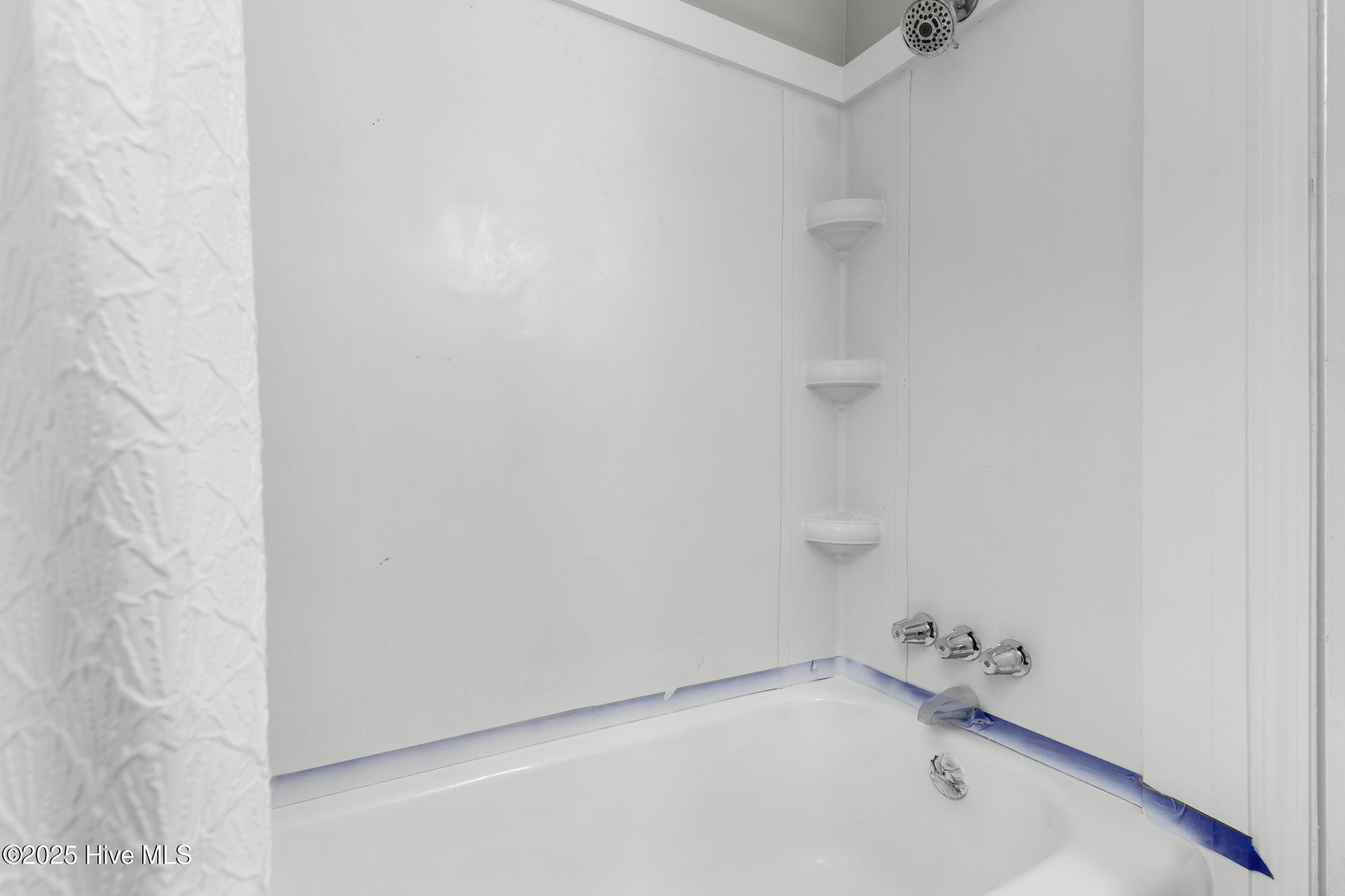 100546892 | Photo 13