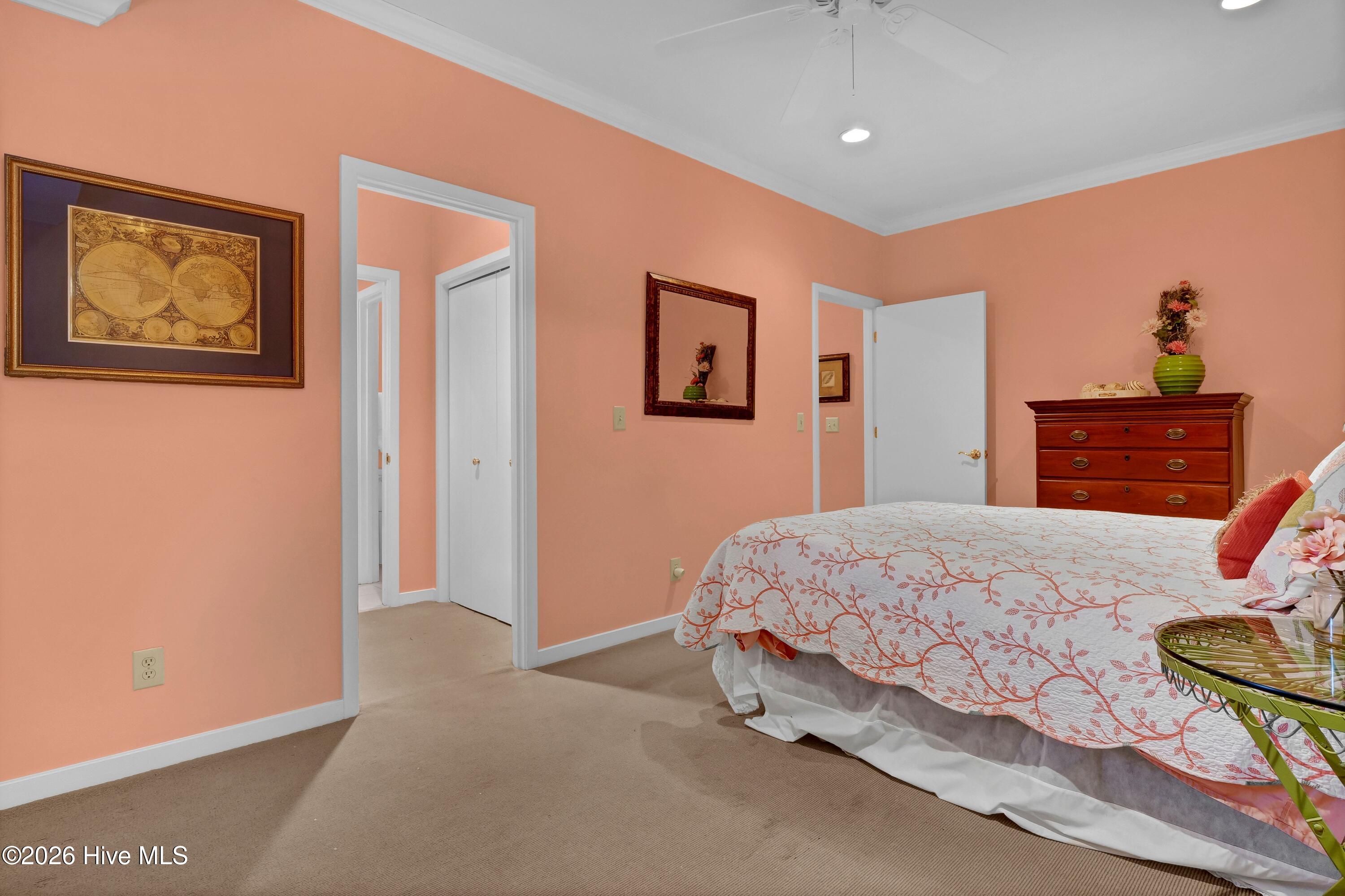 100555584 | Photo 18