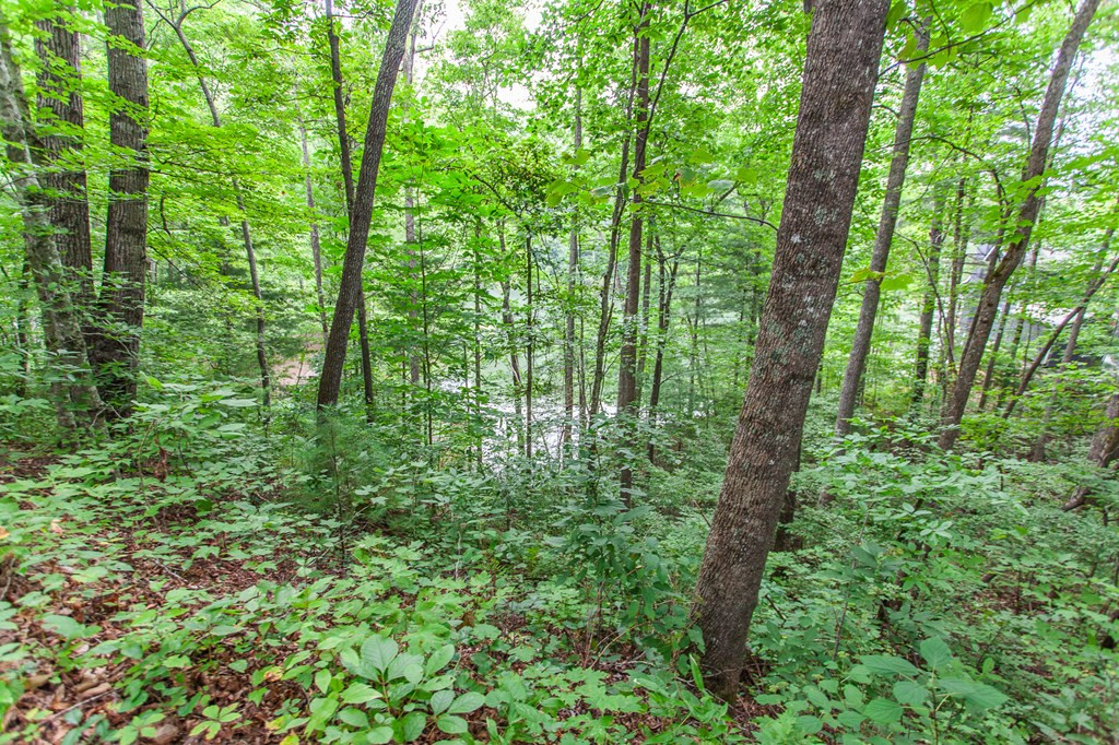 Exterior photo of Lot 8-10 Castlewood, Robbinsville, NC 28771. MLS: 98539698