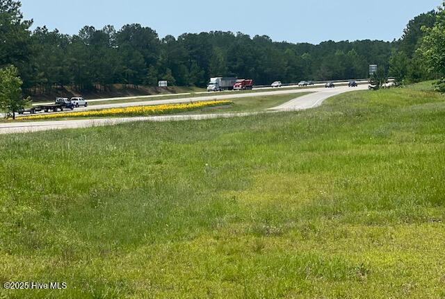 118 Pond Brothers Road, Hamlet, NC, 28345