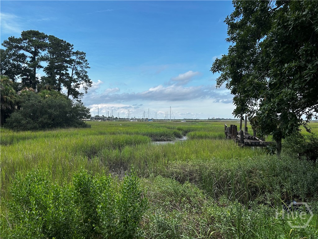 34th image of 52 Bull River Bluff Dr, Savannah, GA 31410 | MLS# SA353166