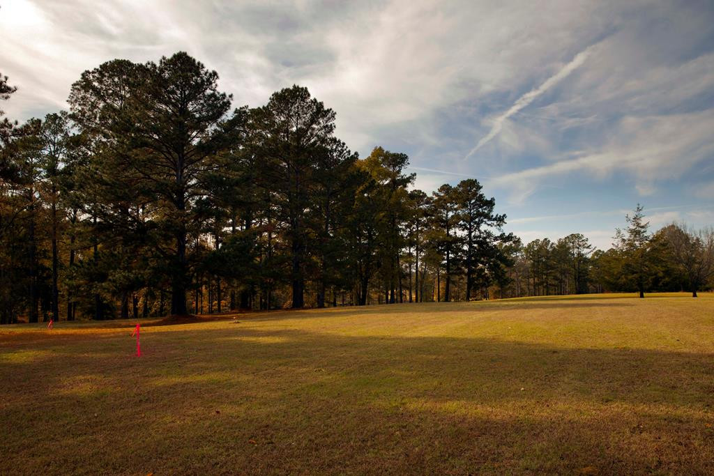 Lot 4 Louisville Road, Appling, GA 30802 Listing Photo  1