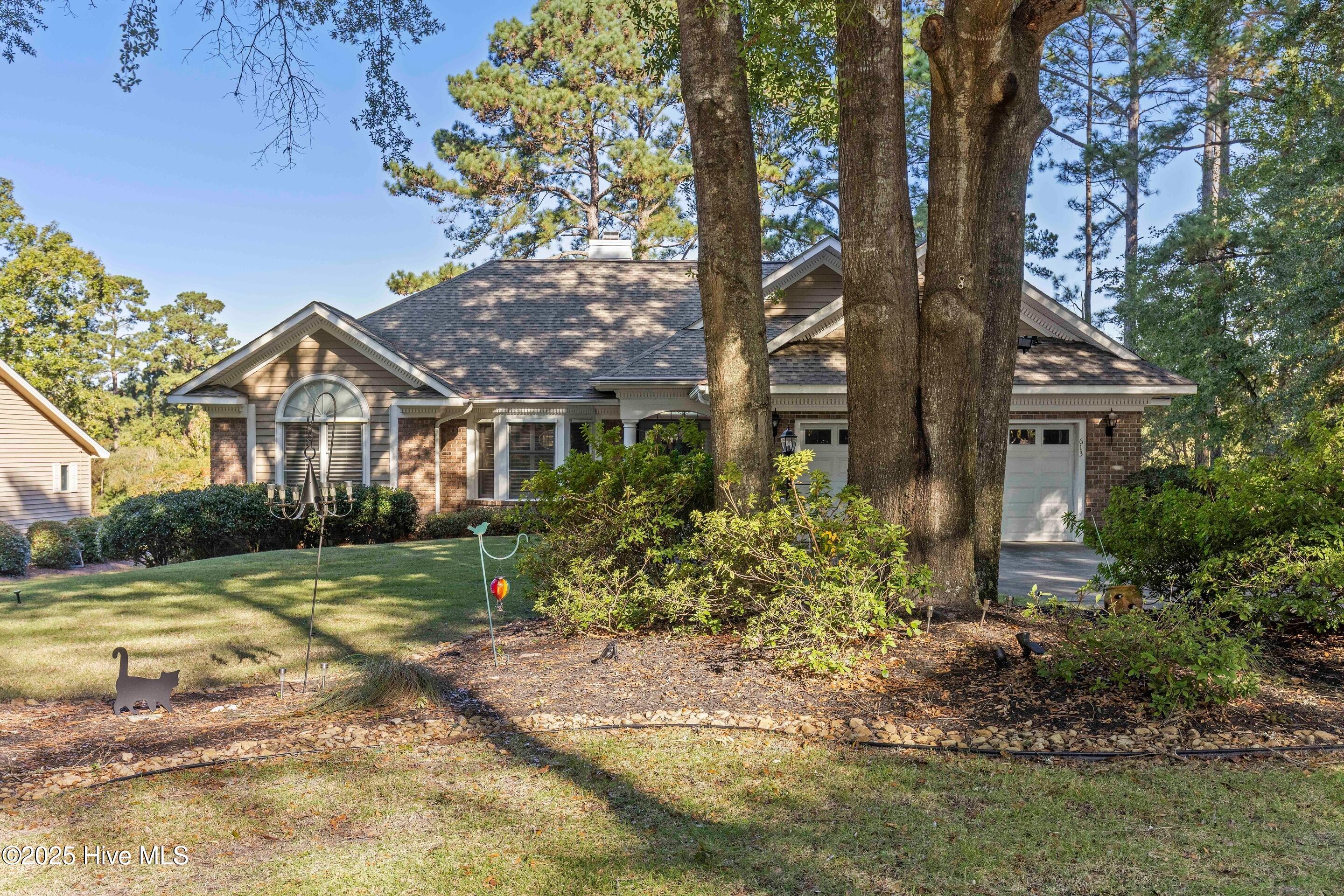 100541772 | Photo 83