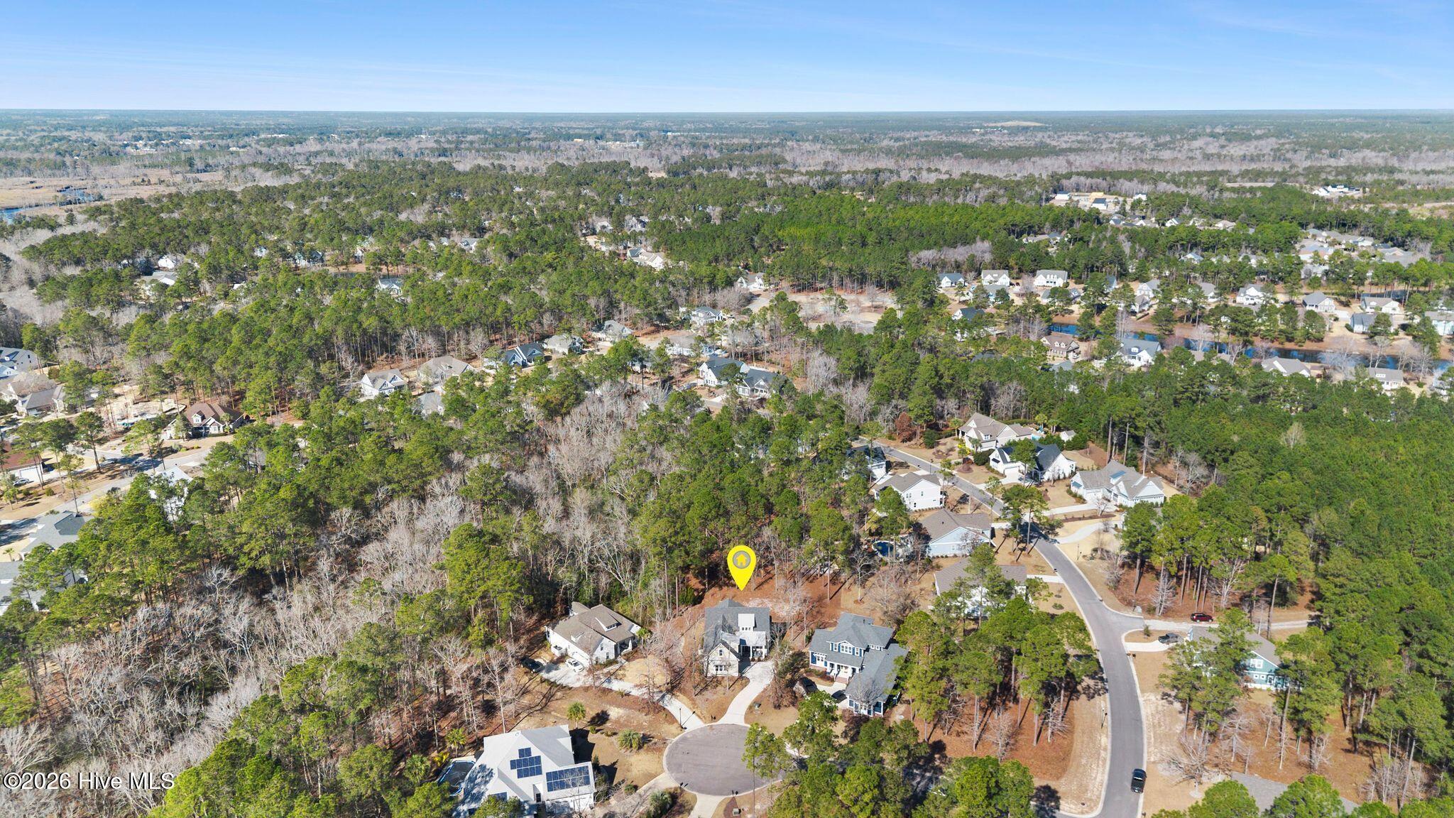 100551668 | Photo 96