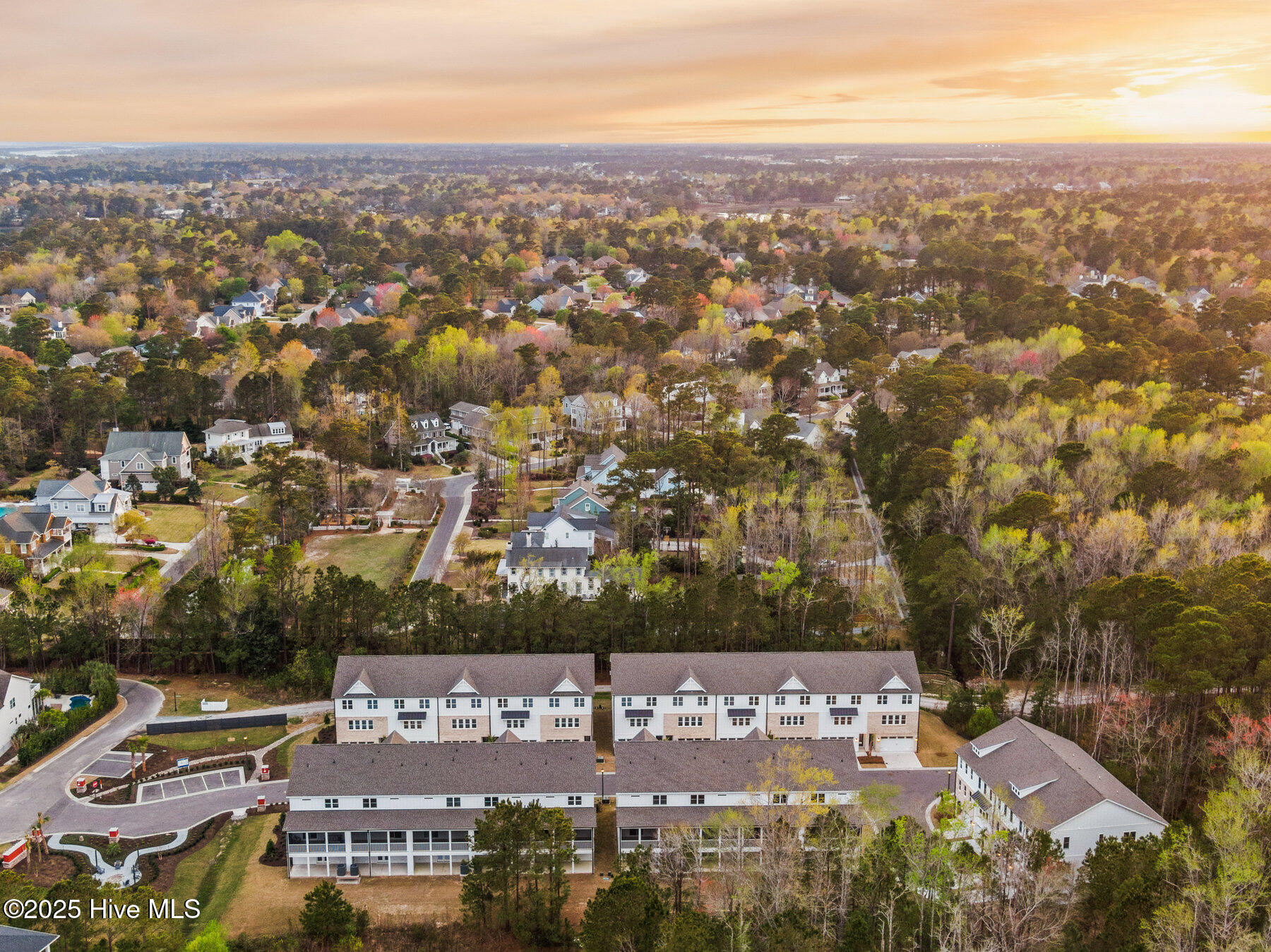 100524415 | Photo 18