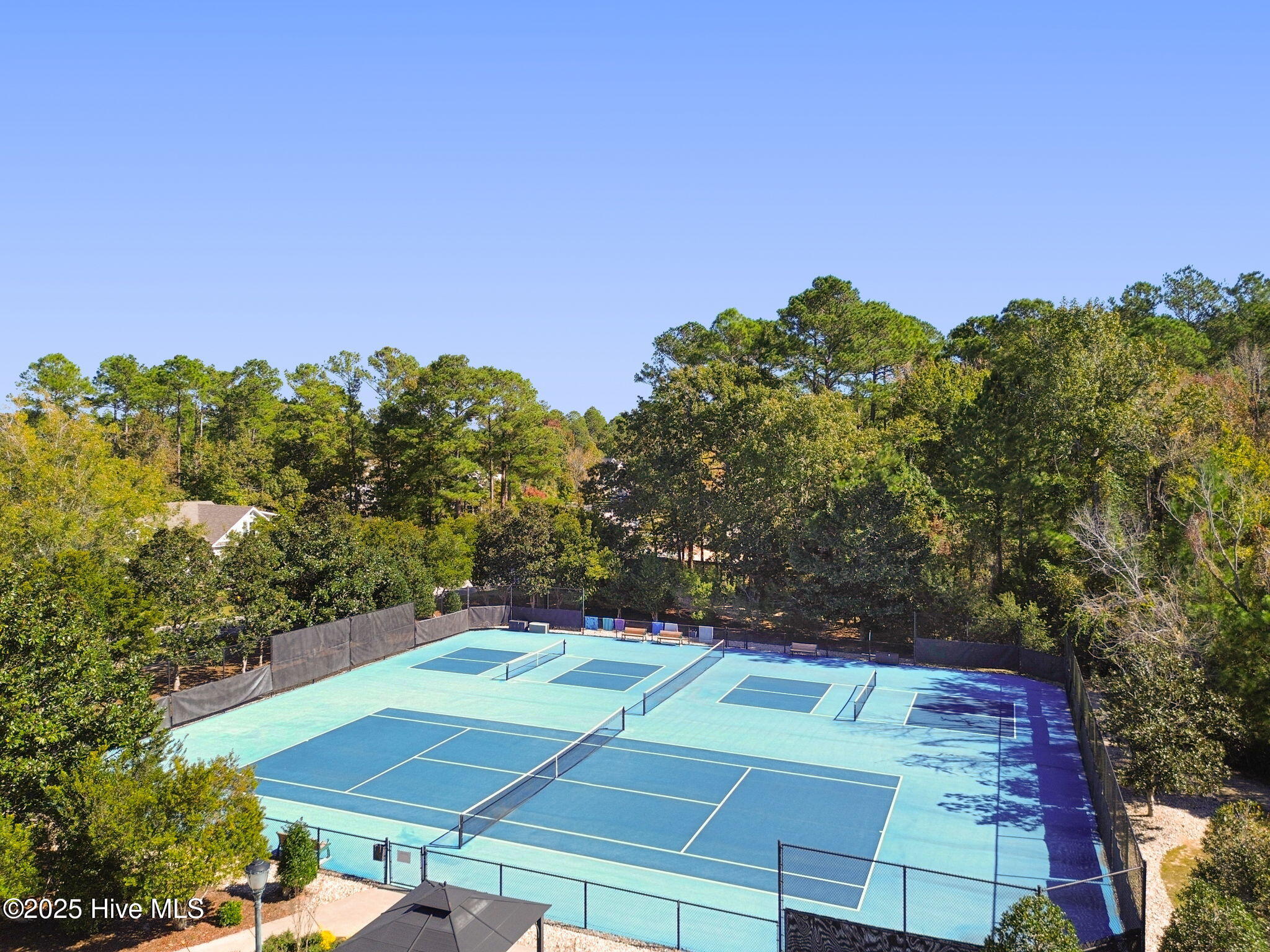 100538167 | Photo 49