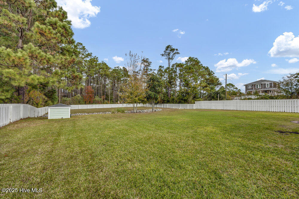 100542782 | Photo 49