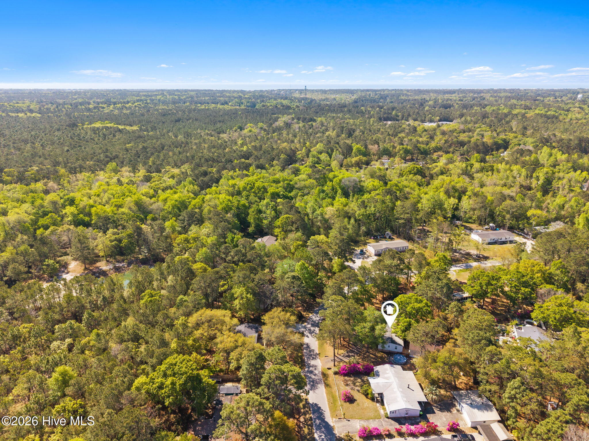 100569950 | Photo 40