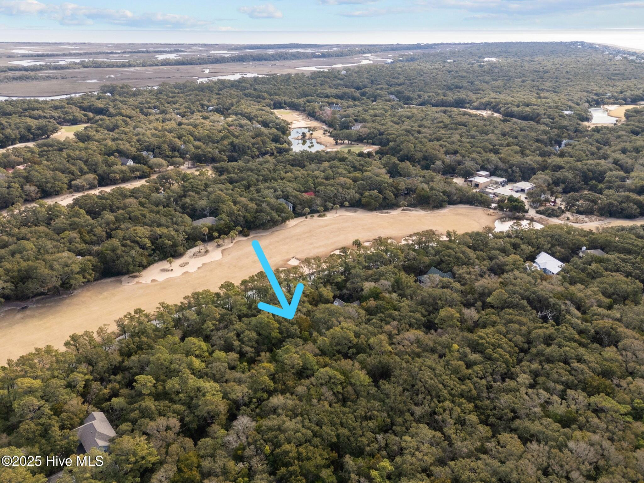 100493520 | Photo 11