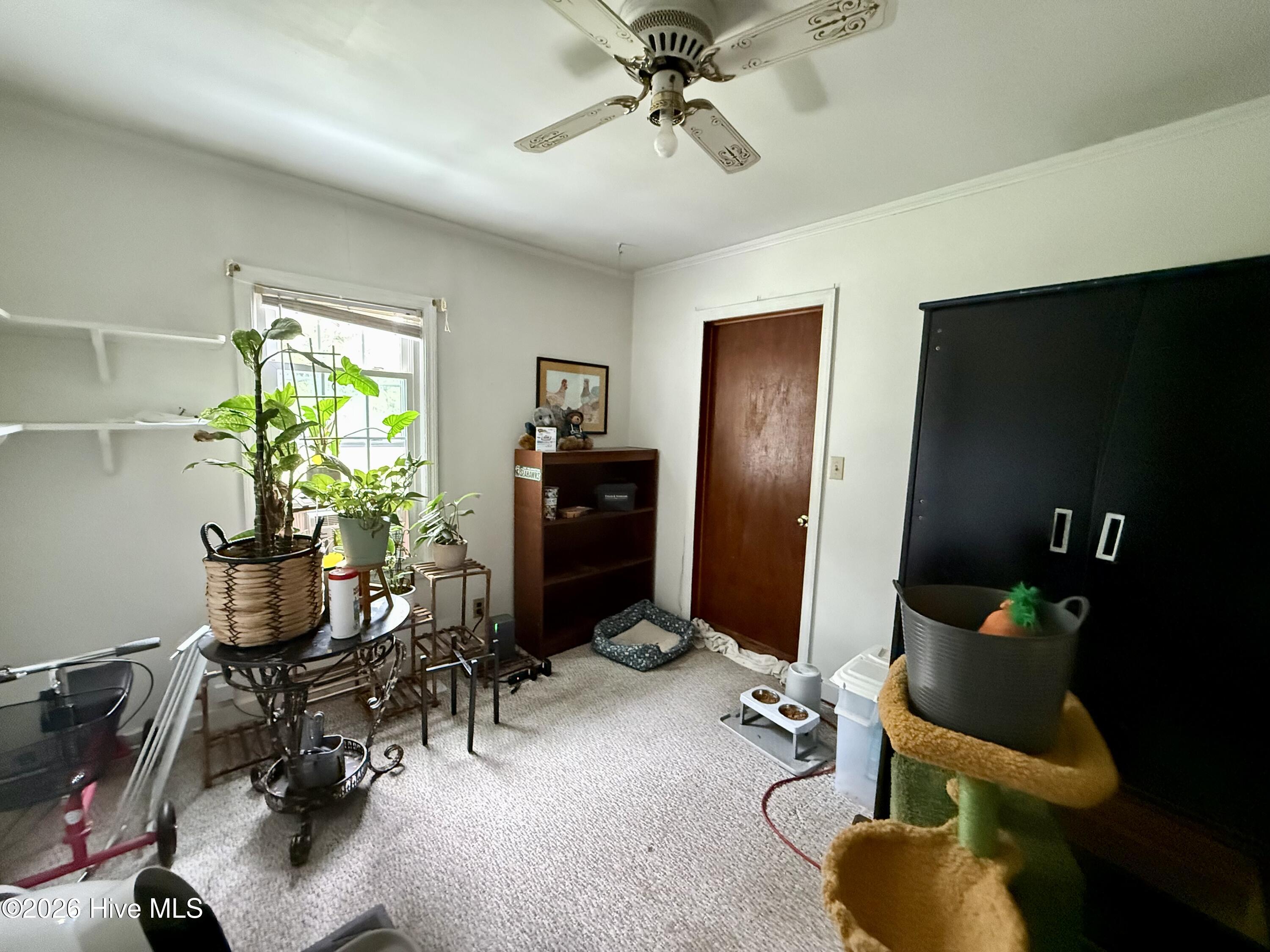 238 Old Nassau Road,Williston