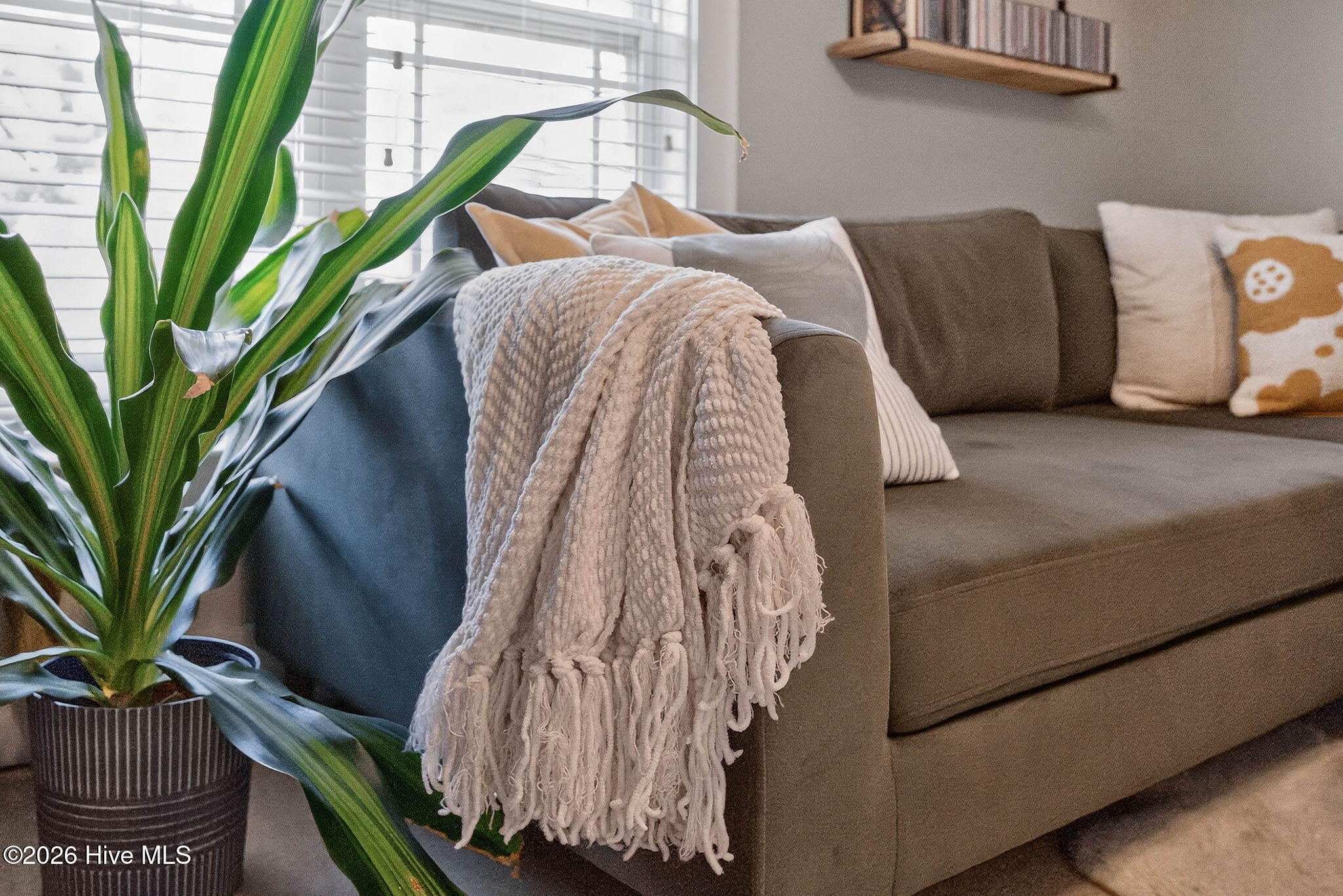 100564784 | Photo 34