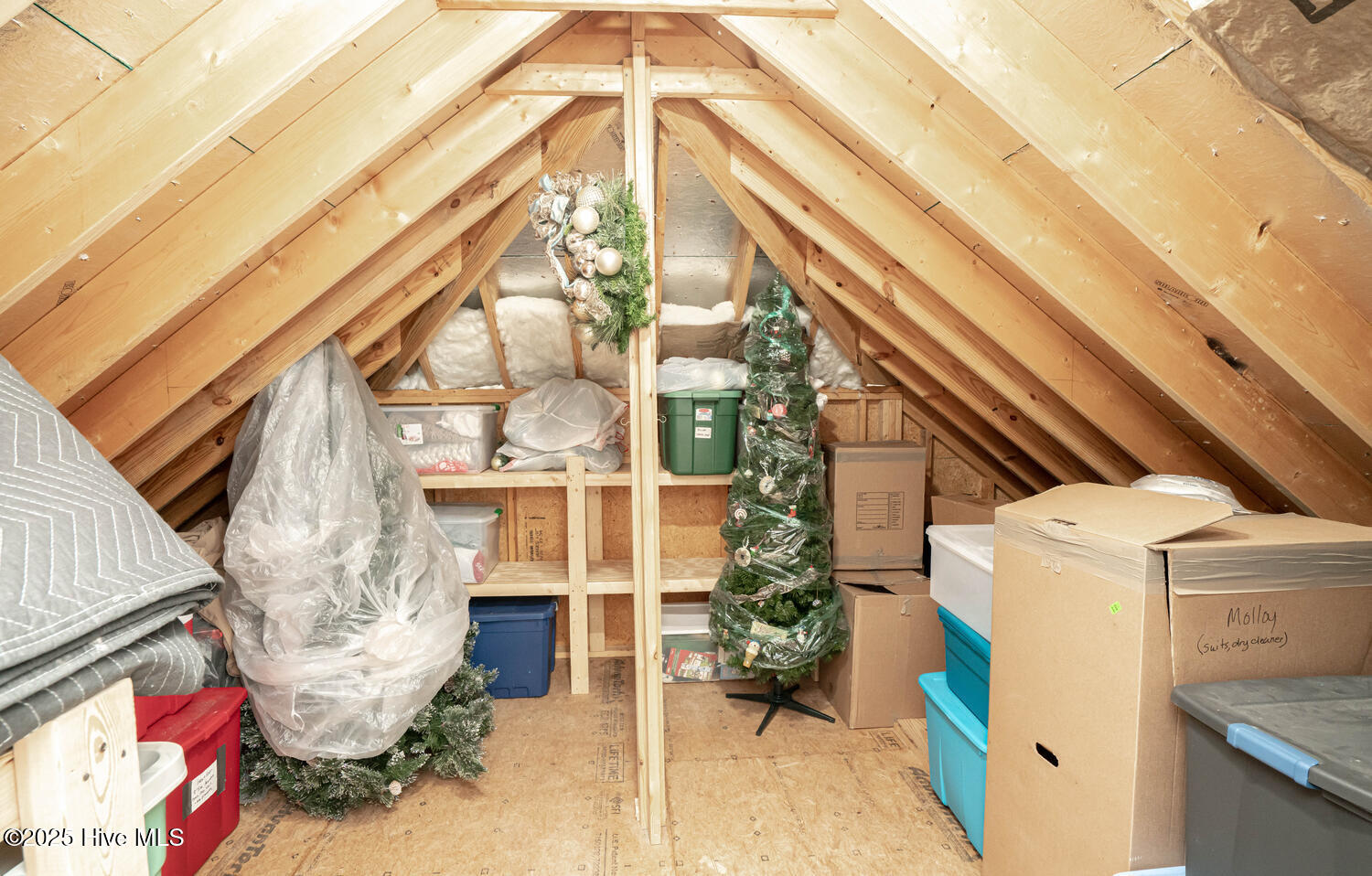 100514685 | Photo 79