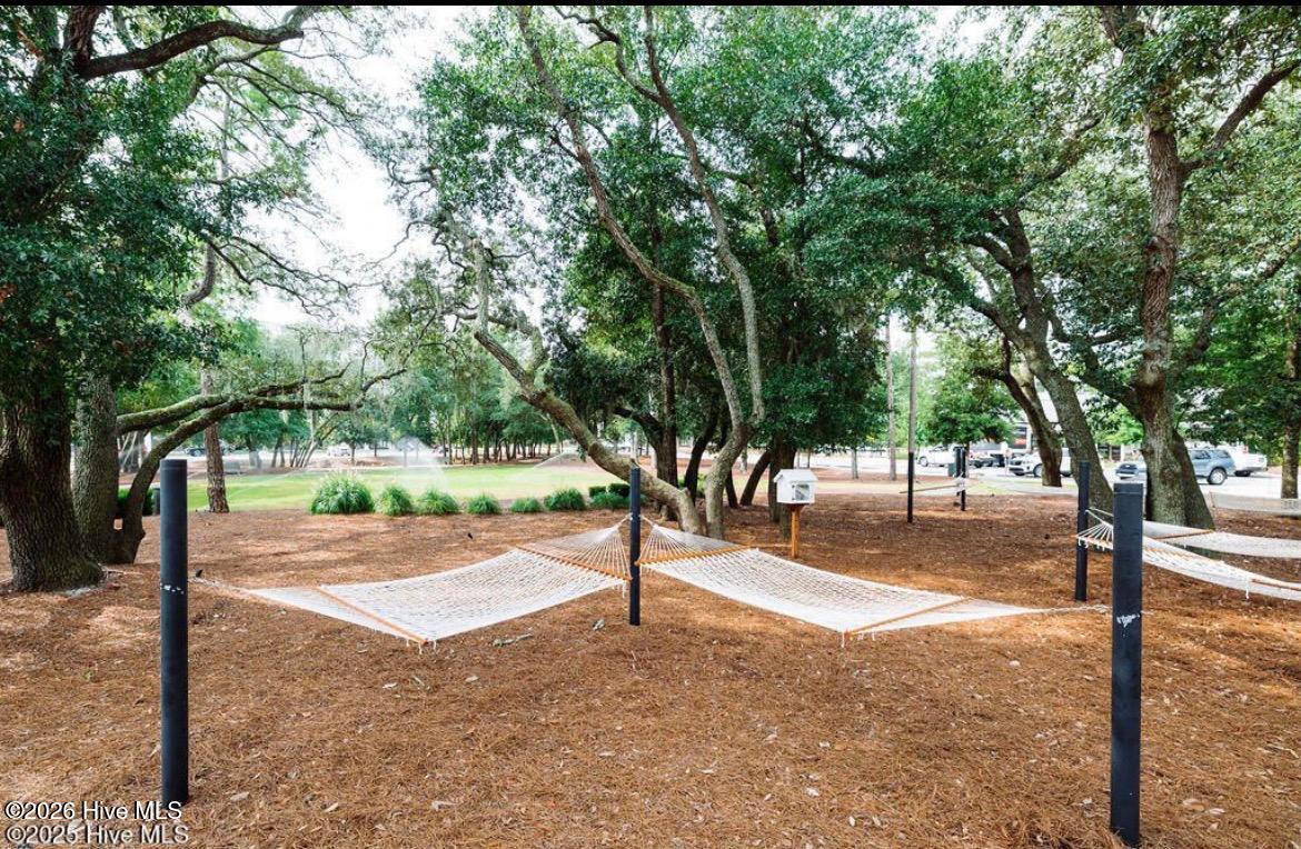 100568036 | Photo 86