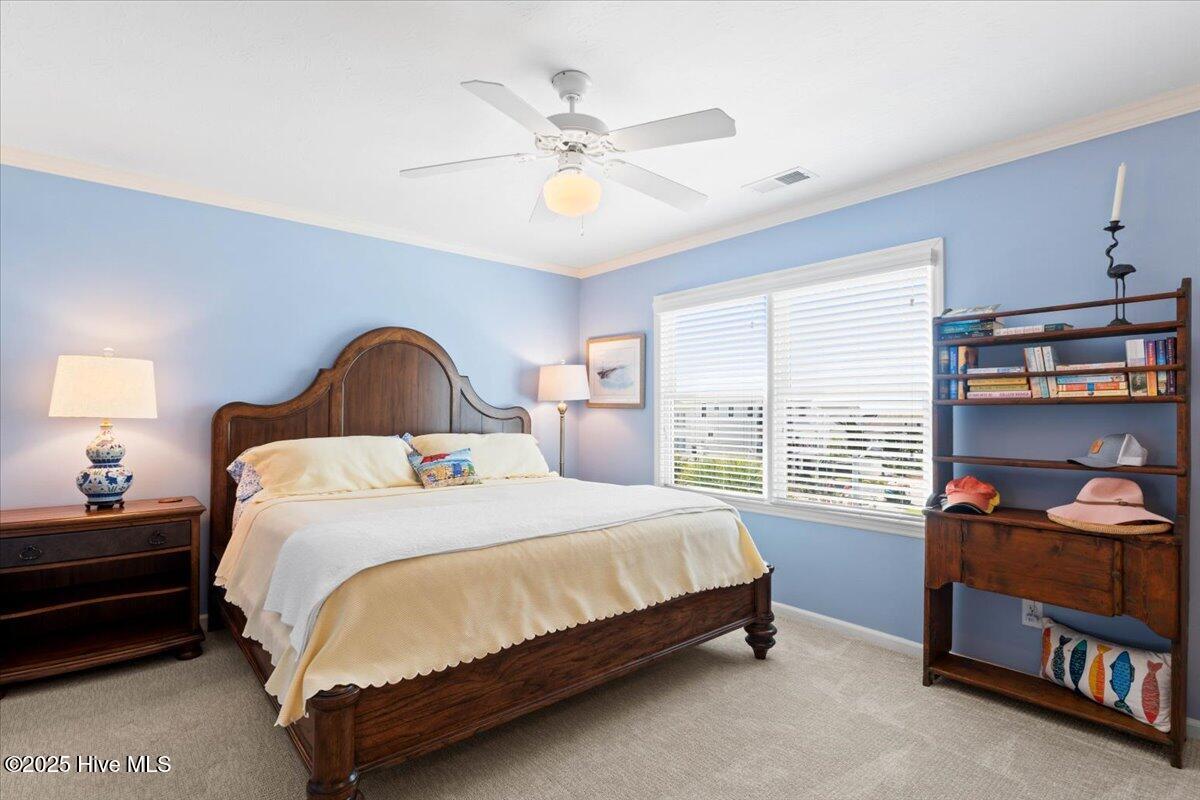 100548122 | Photo 37